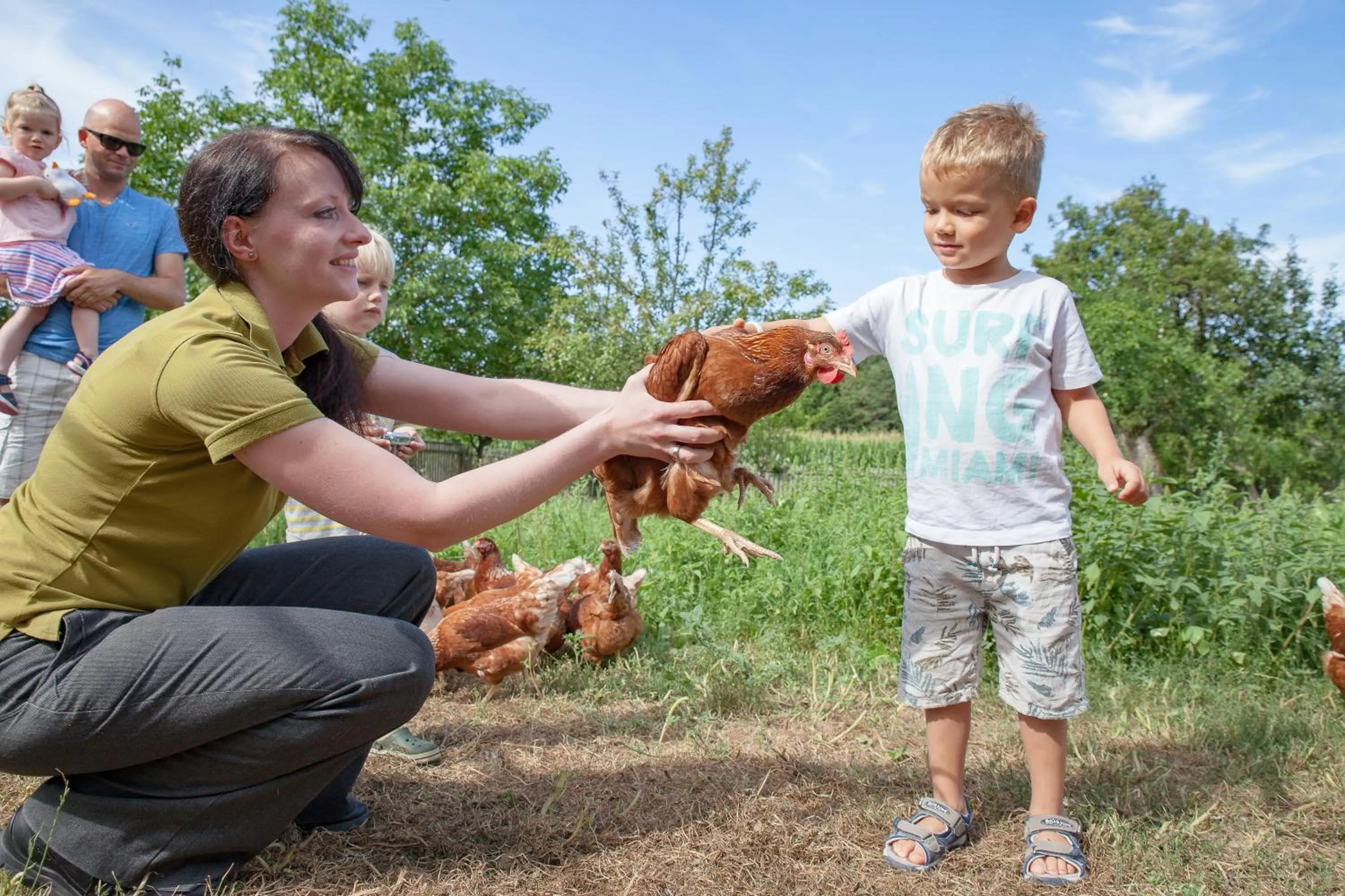 Pets in Hotel-Restaurant Teuschler-Mogg Bad Waltersdorf inklusiv Genusscard
