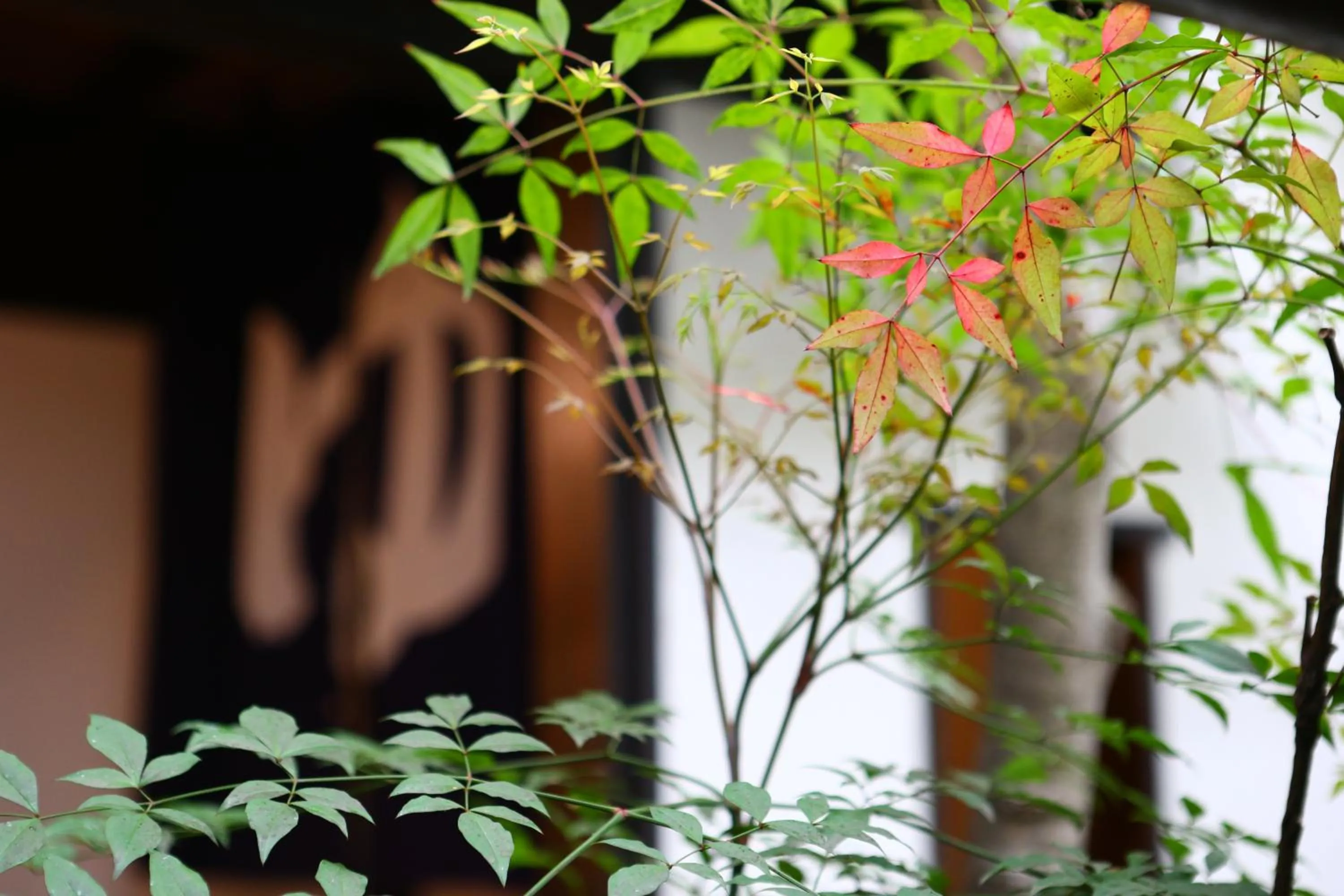 Area and facilities in Izumiya Zenbe