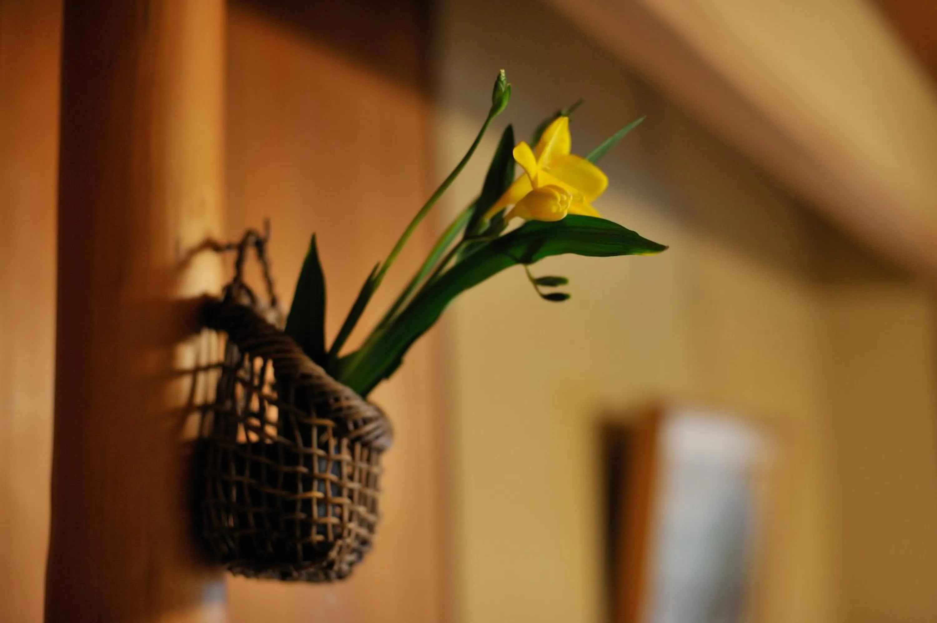 Other in Izumiya Zenbe