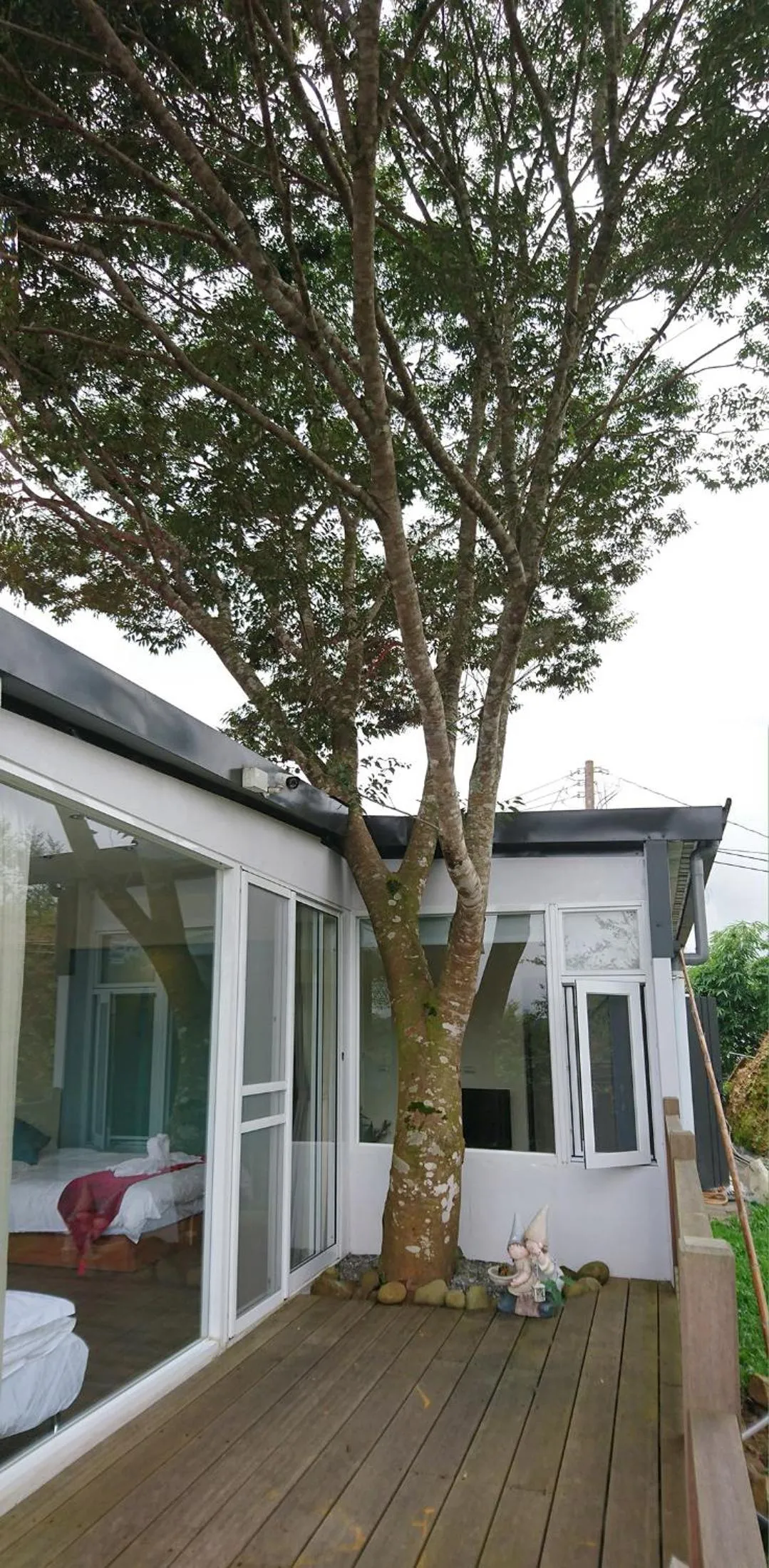 SunSweet House