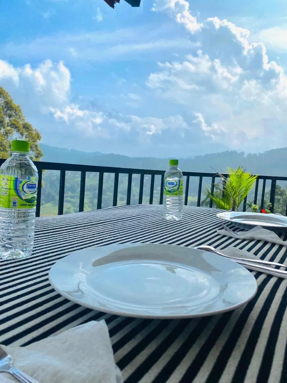 Natural landscape in Pleasant Peak