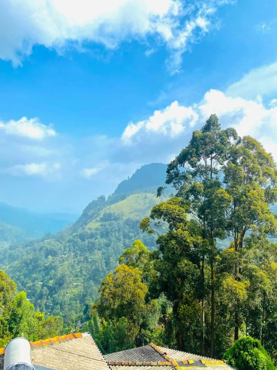 Mountain view in Pleasant Peak
