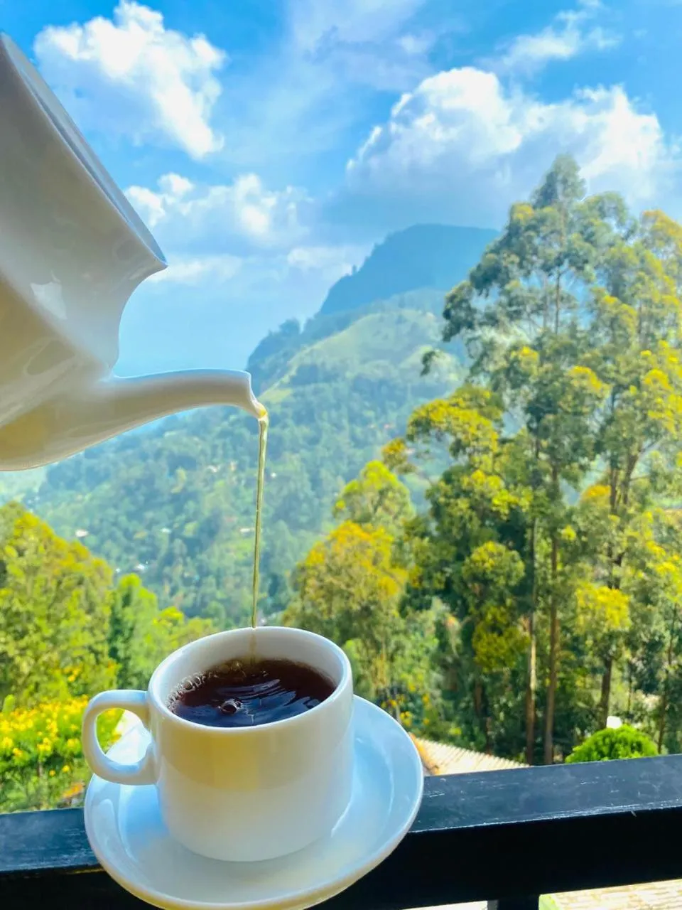 View (from property/room) in Pleasant Peak