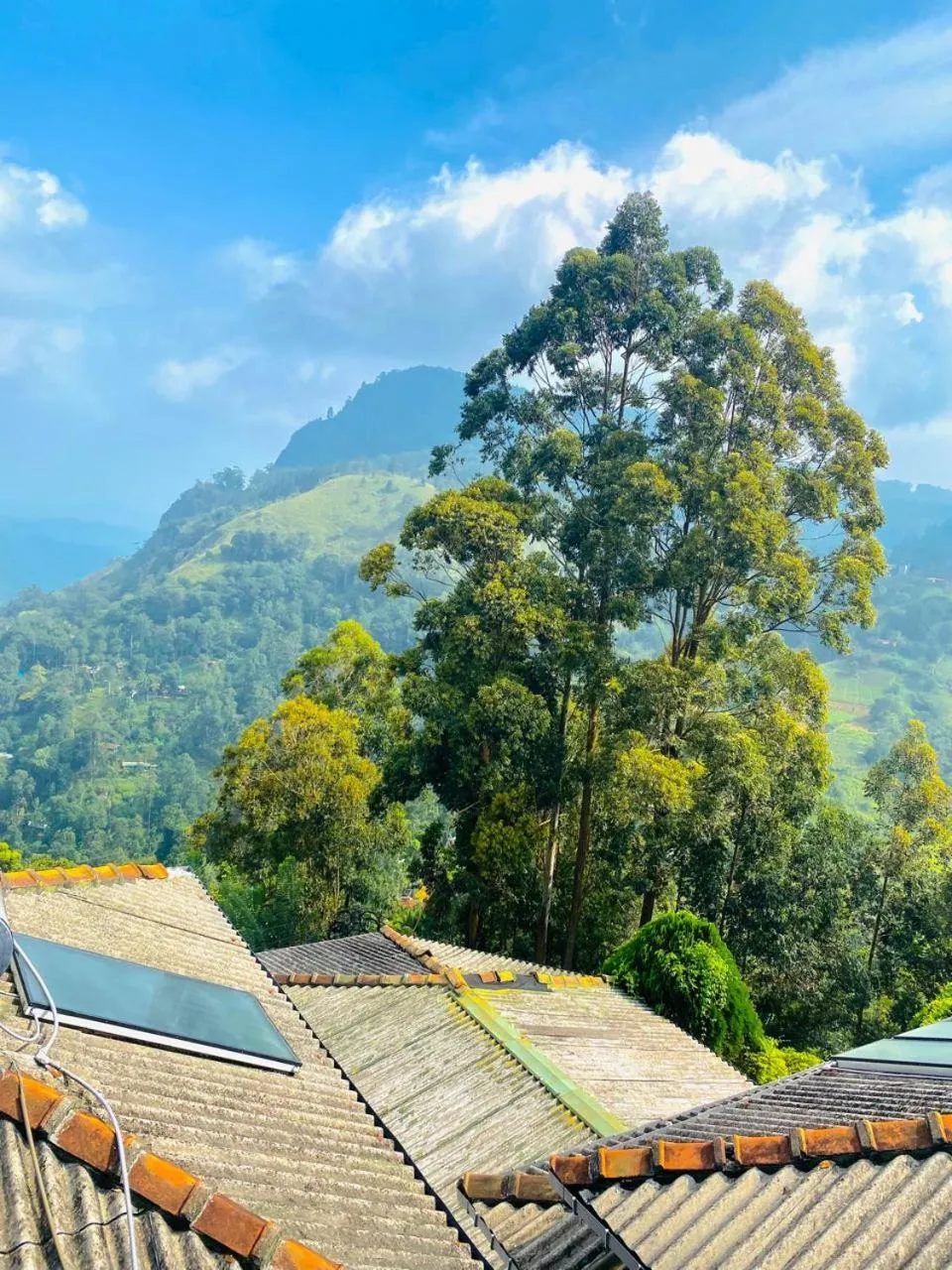 Natural landscape in Pleasant Peak