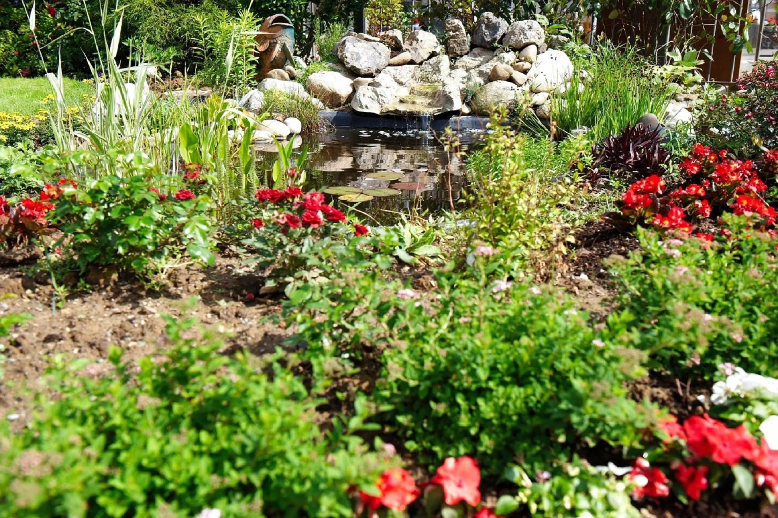 Garden in Hotel La Roseraie