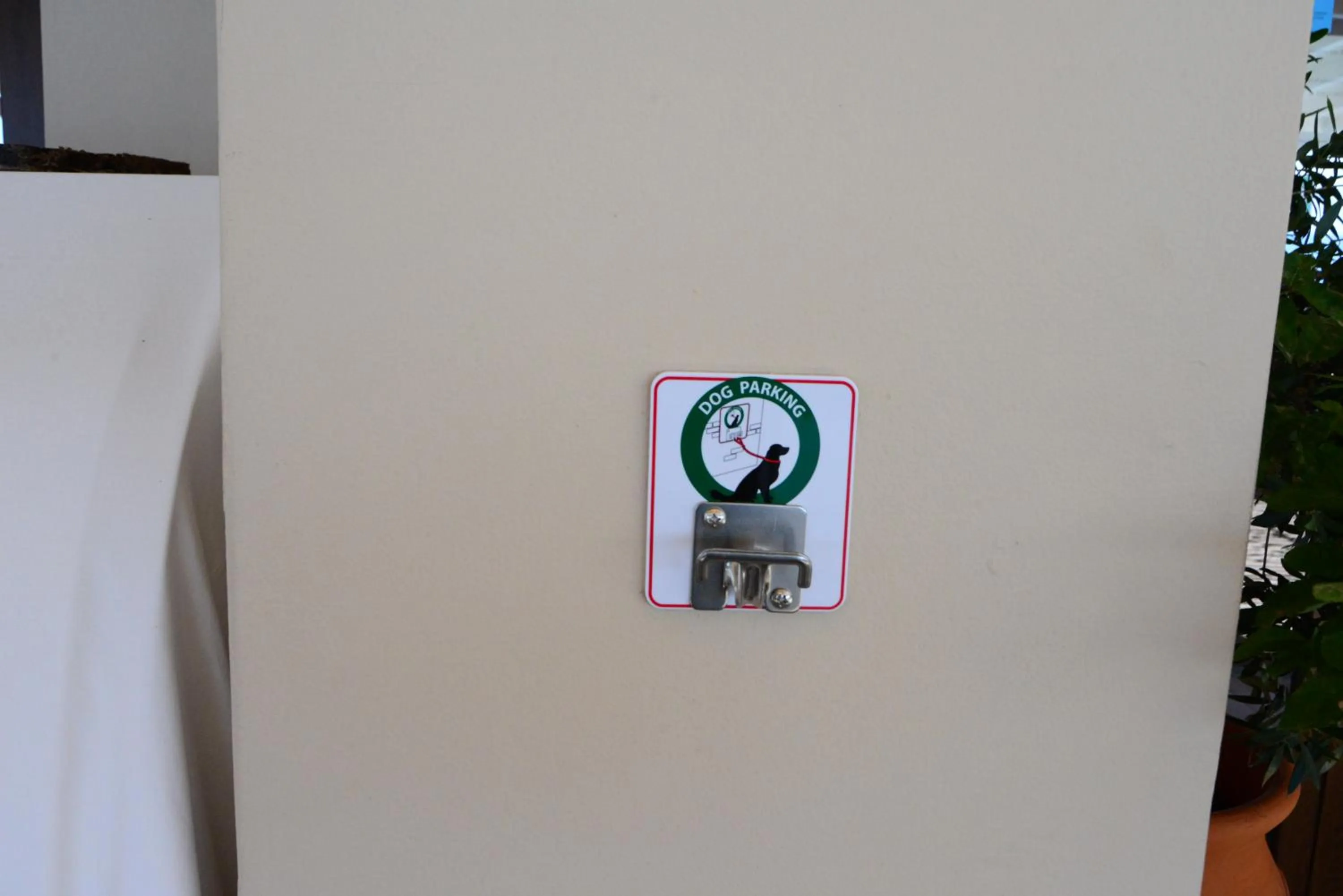 Pets in Sappho Hotel