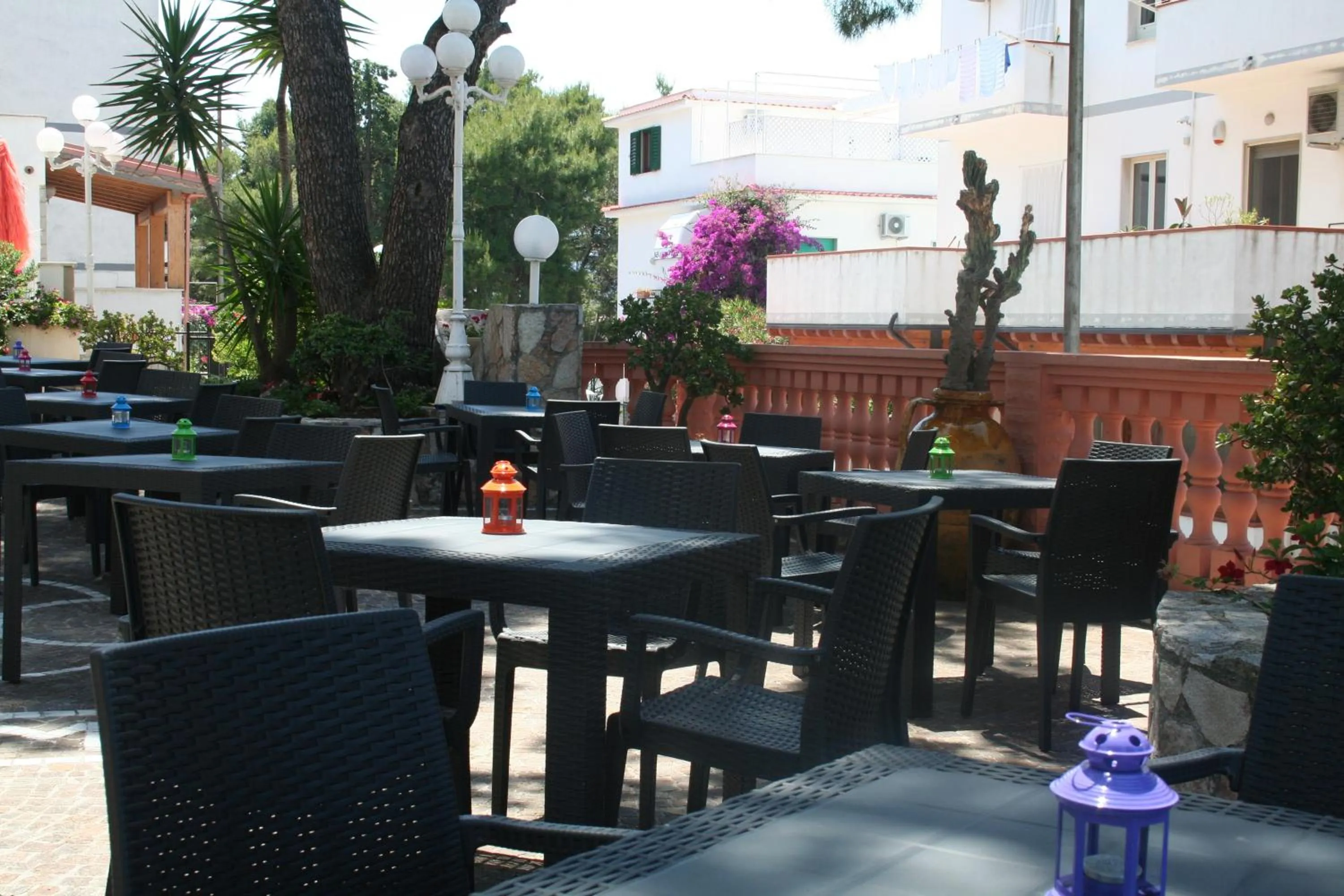 Garden in Hotel Timiama