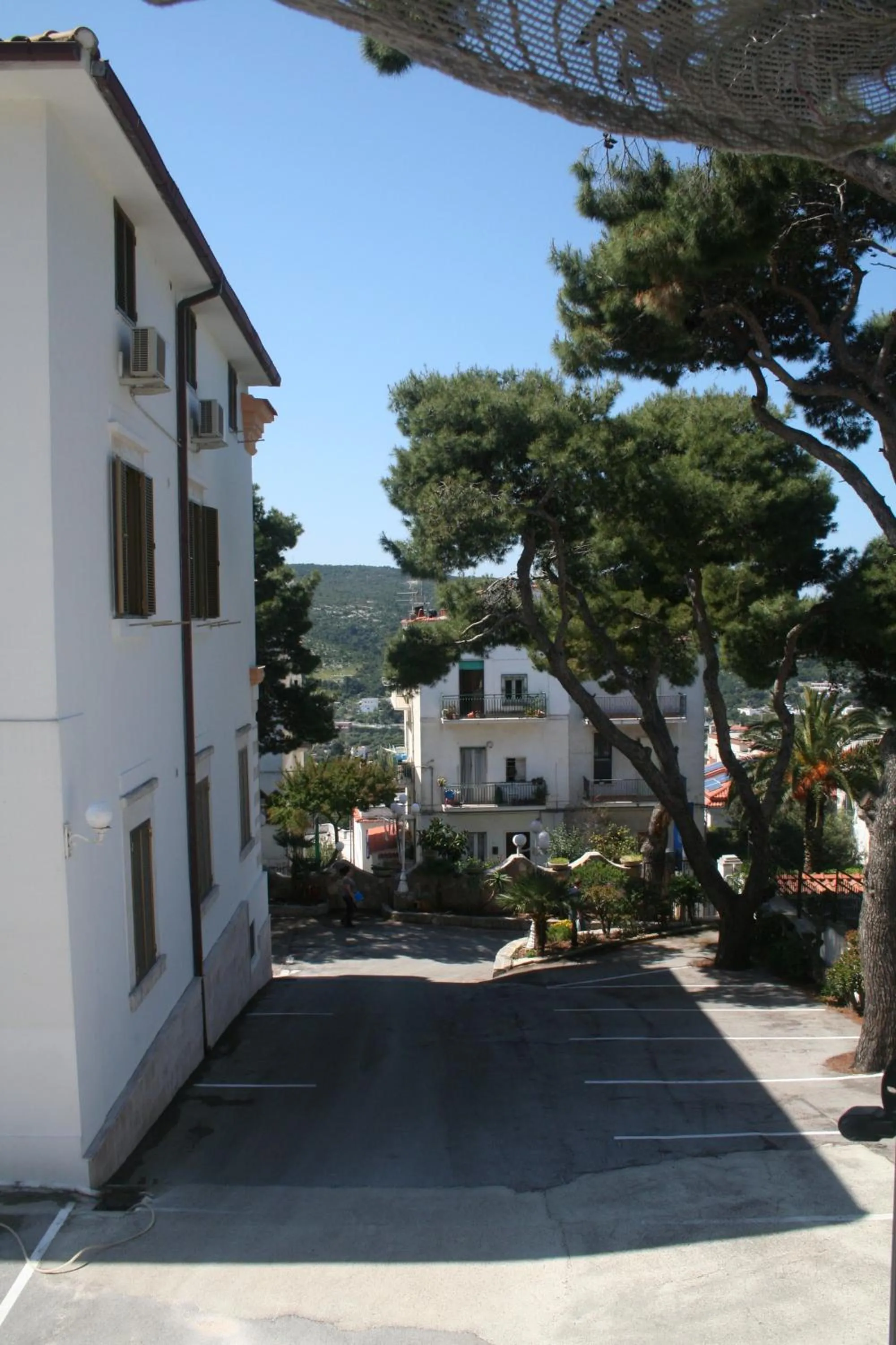 Area and facilities in Hotel Timiama