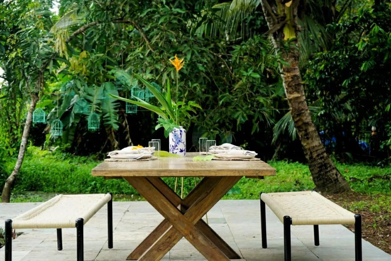 Sunsets and Palm Trees