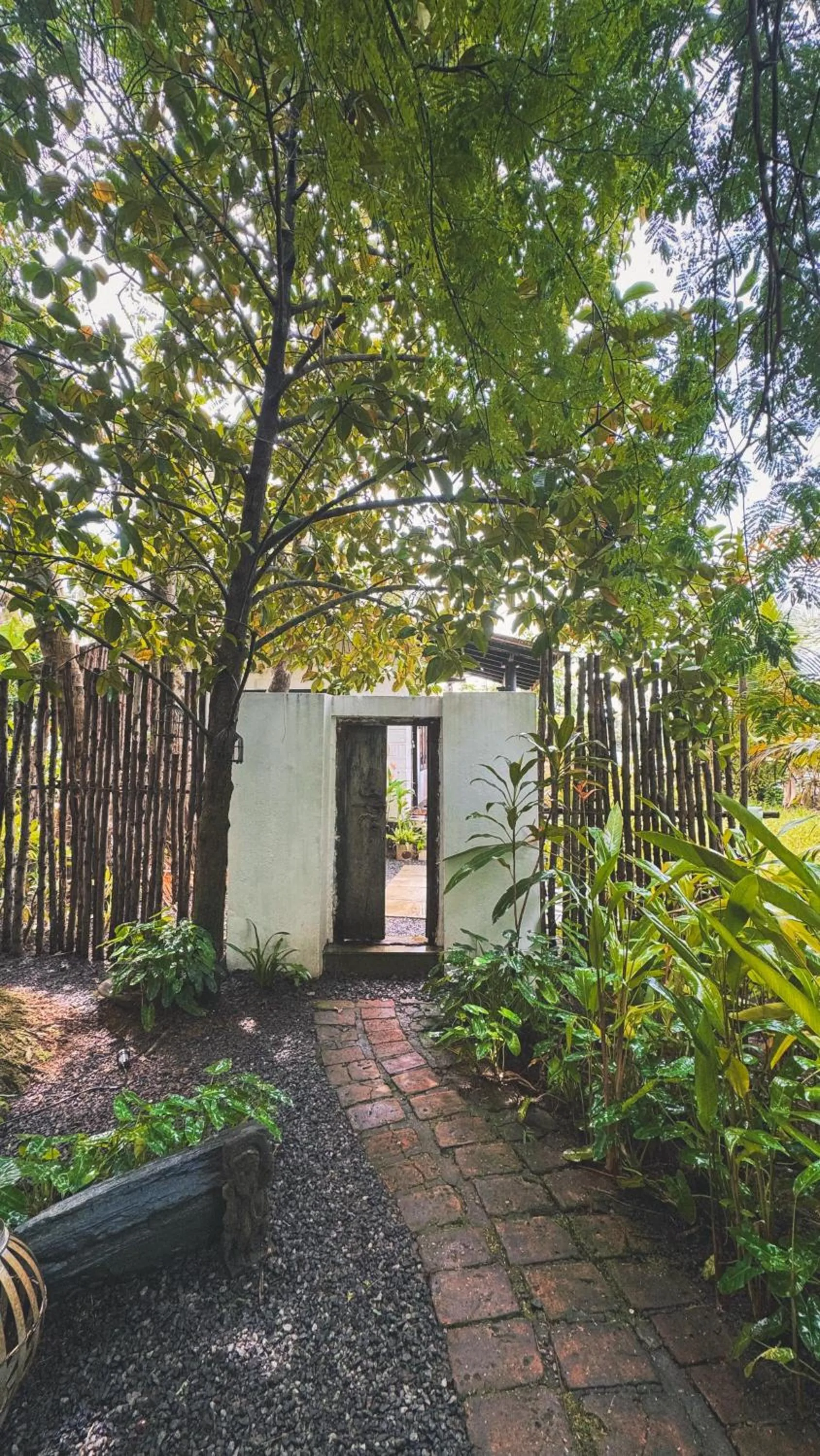 Sunsets and Palm Trees