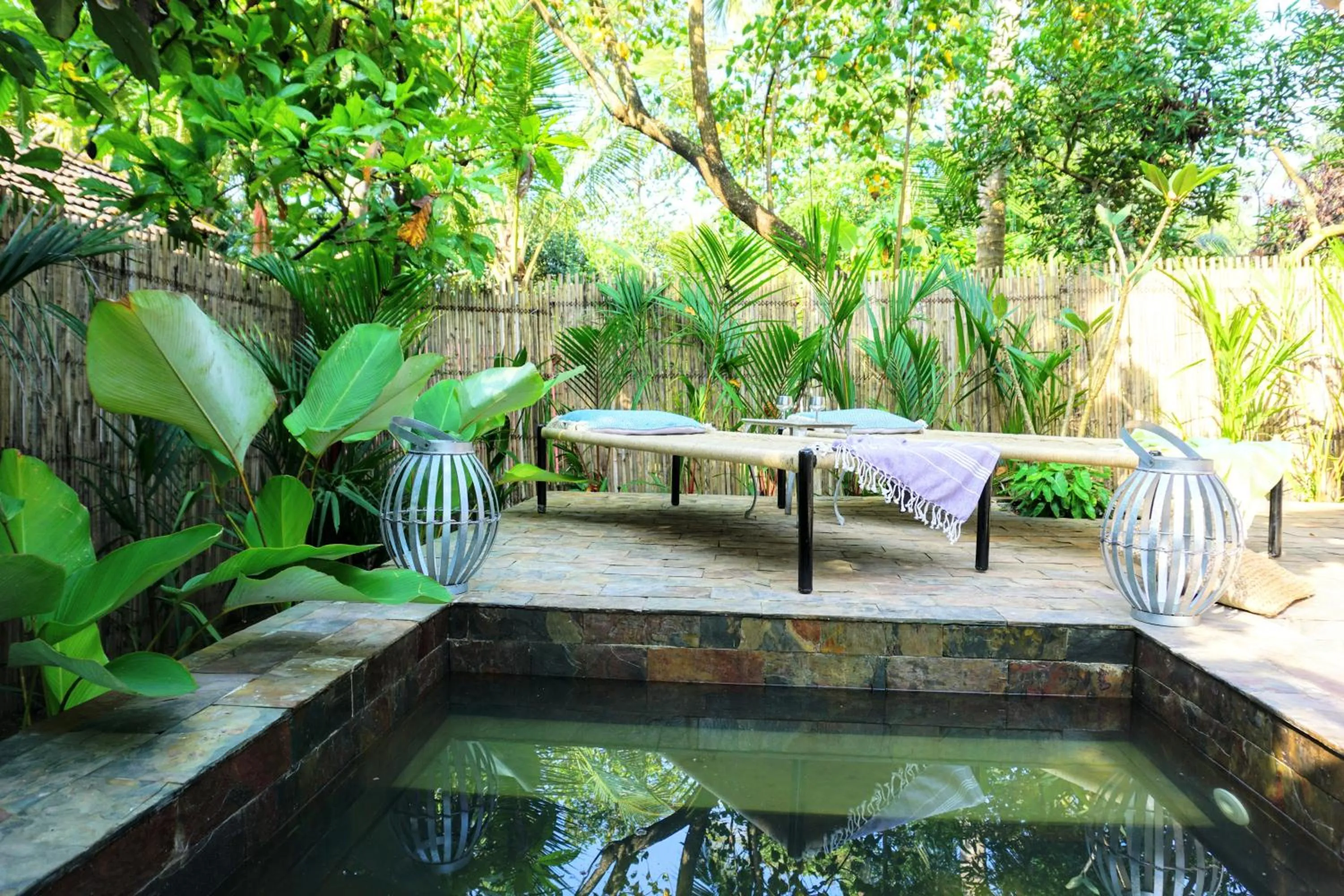 View (from property/room) in Sunsets and Palm Trees