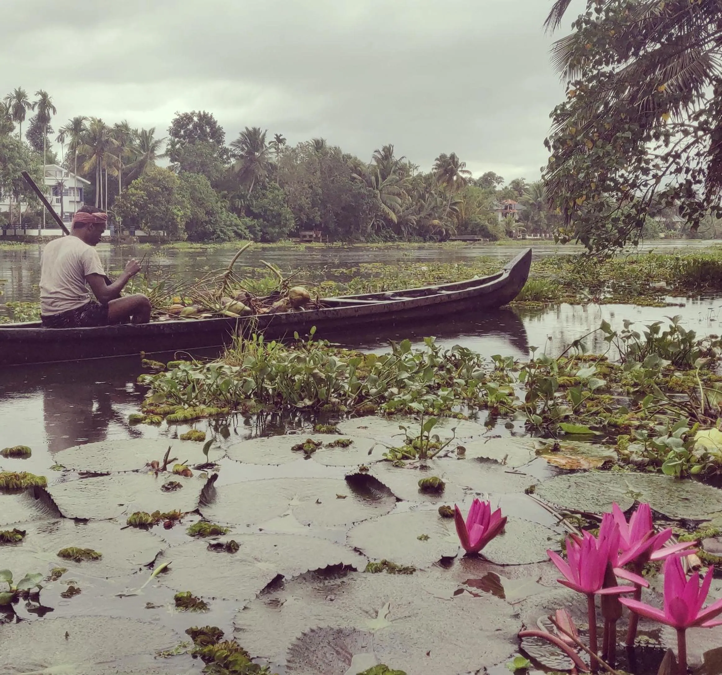 Property building in Sunsets and Palm Trees