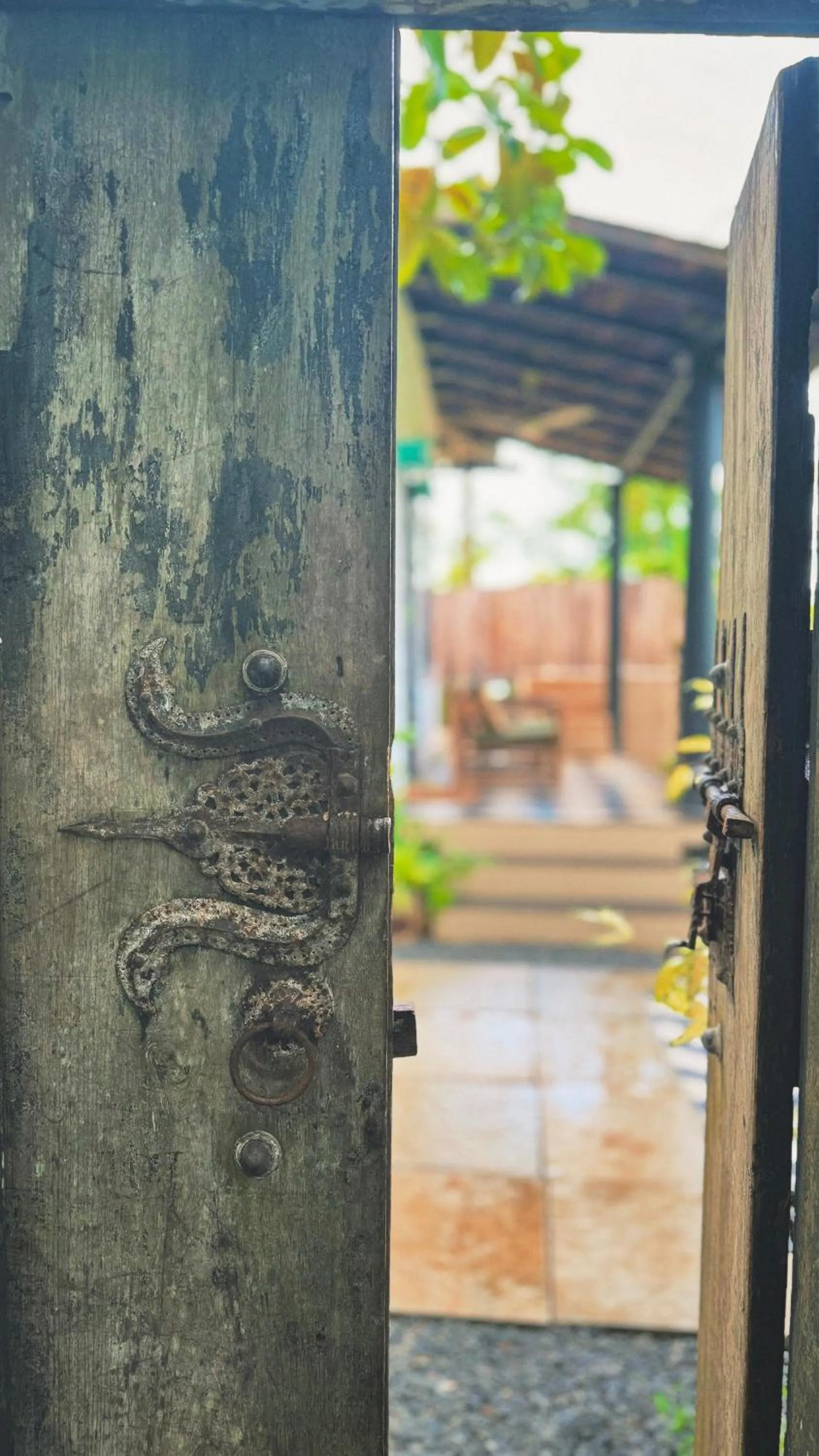 Sunsets and Palm Trees