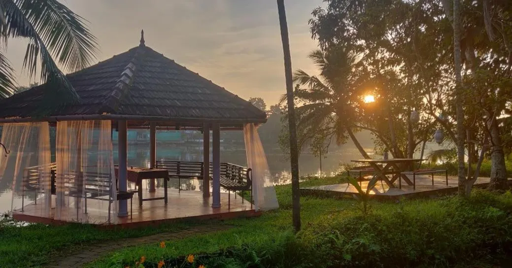 Sunsets and Palm Trees