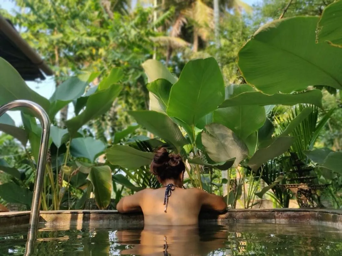 Swimming pool in Sunsets and Palm Trees