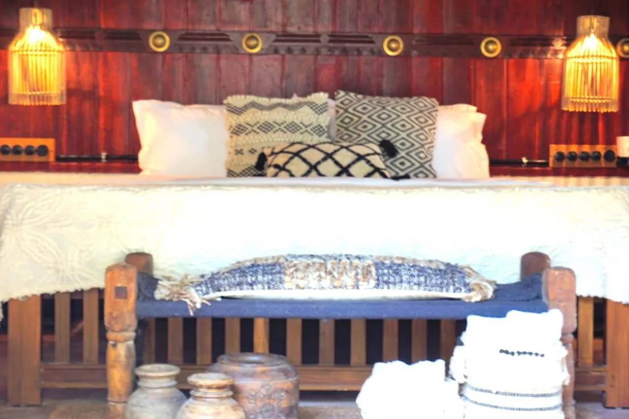 Bed in Sunsets and Palm Trees