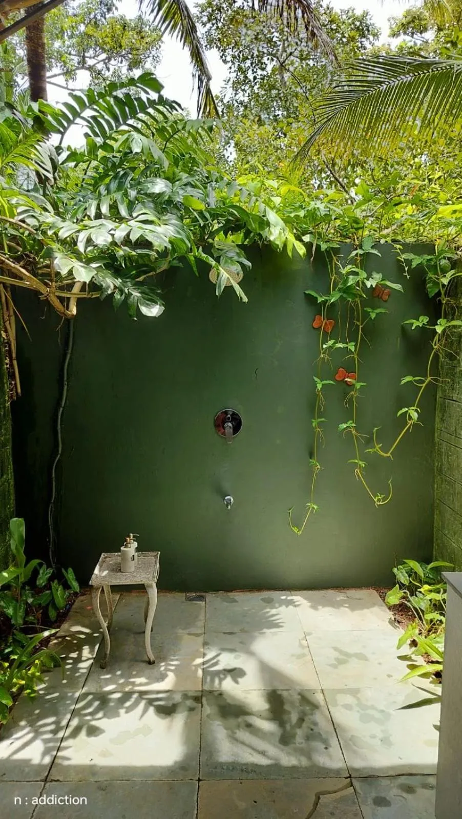 Sunsets and Palm Trees