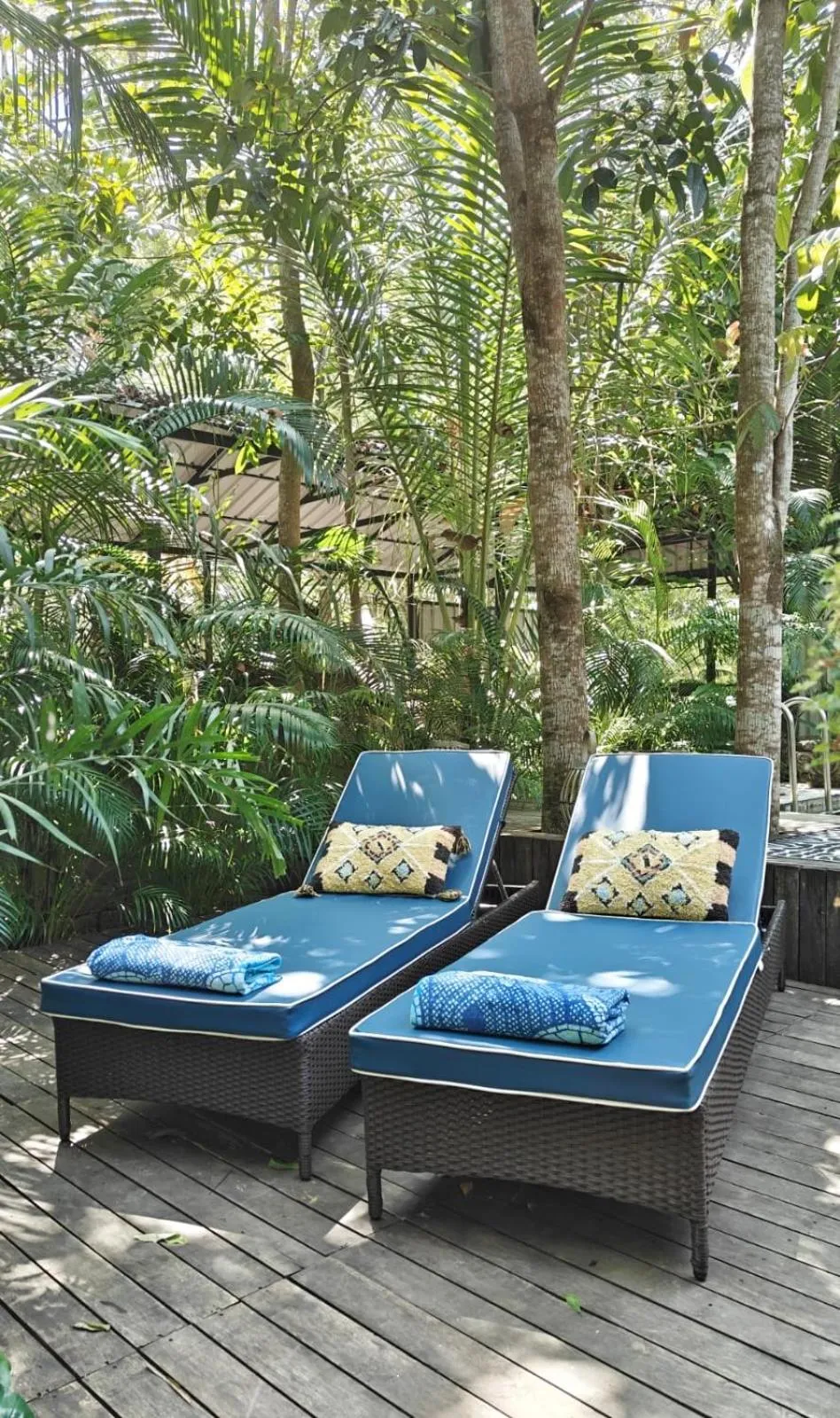 Sunsets and Palm Trees