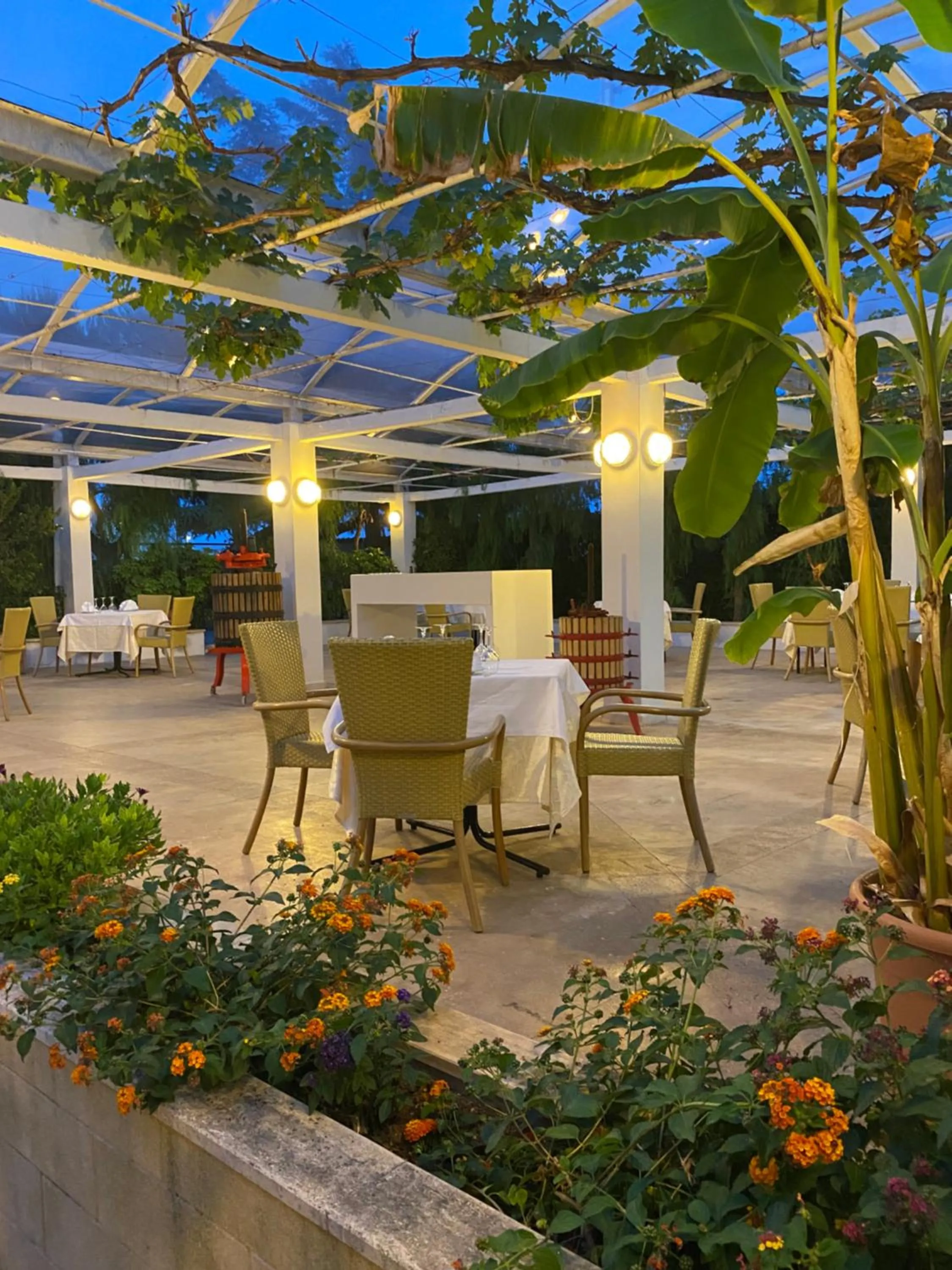 Garden in Hotel Vecchio Mulino