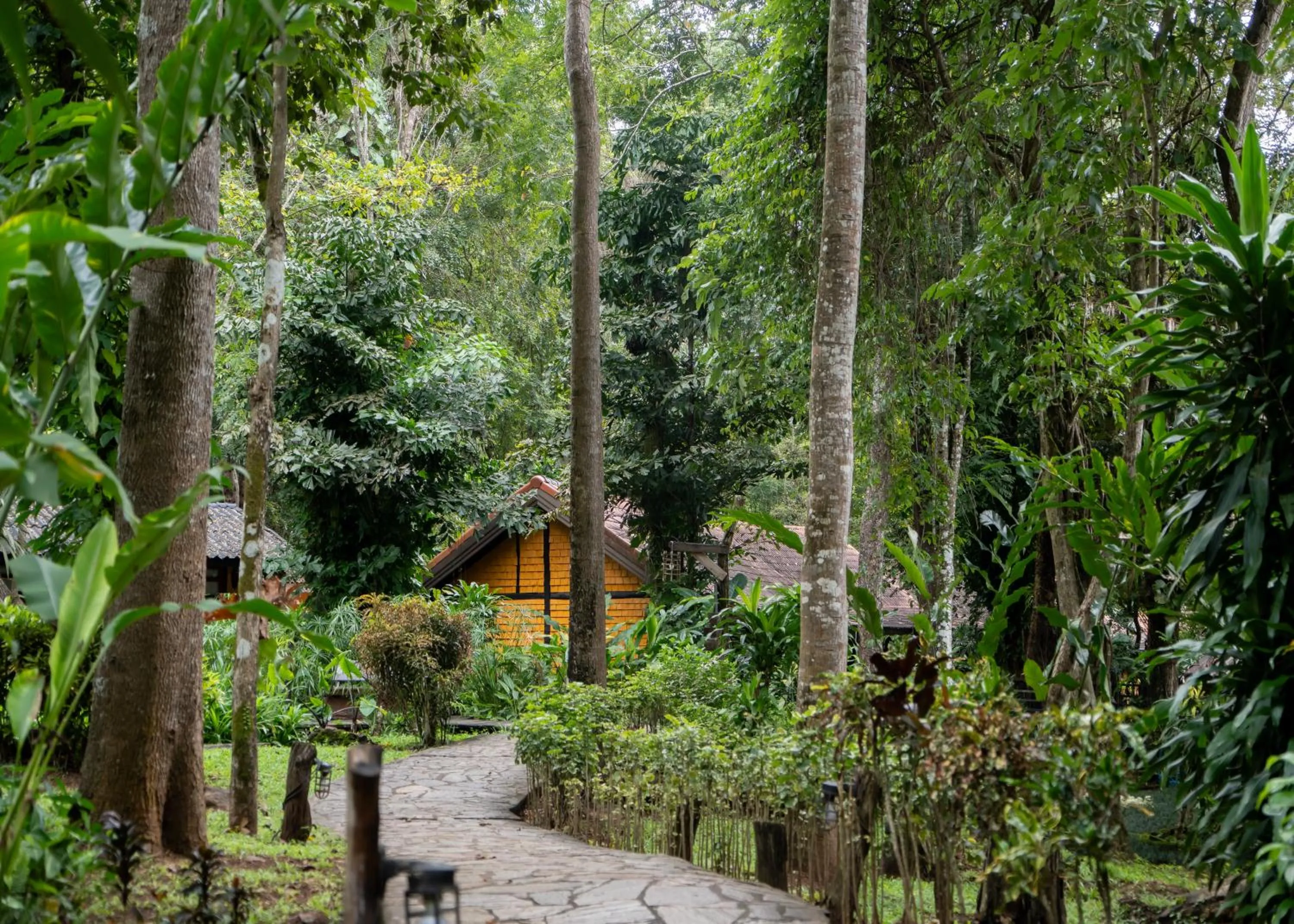 Natural landscape in Home Phutoey River Kwai Hotspring & Nature Resort