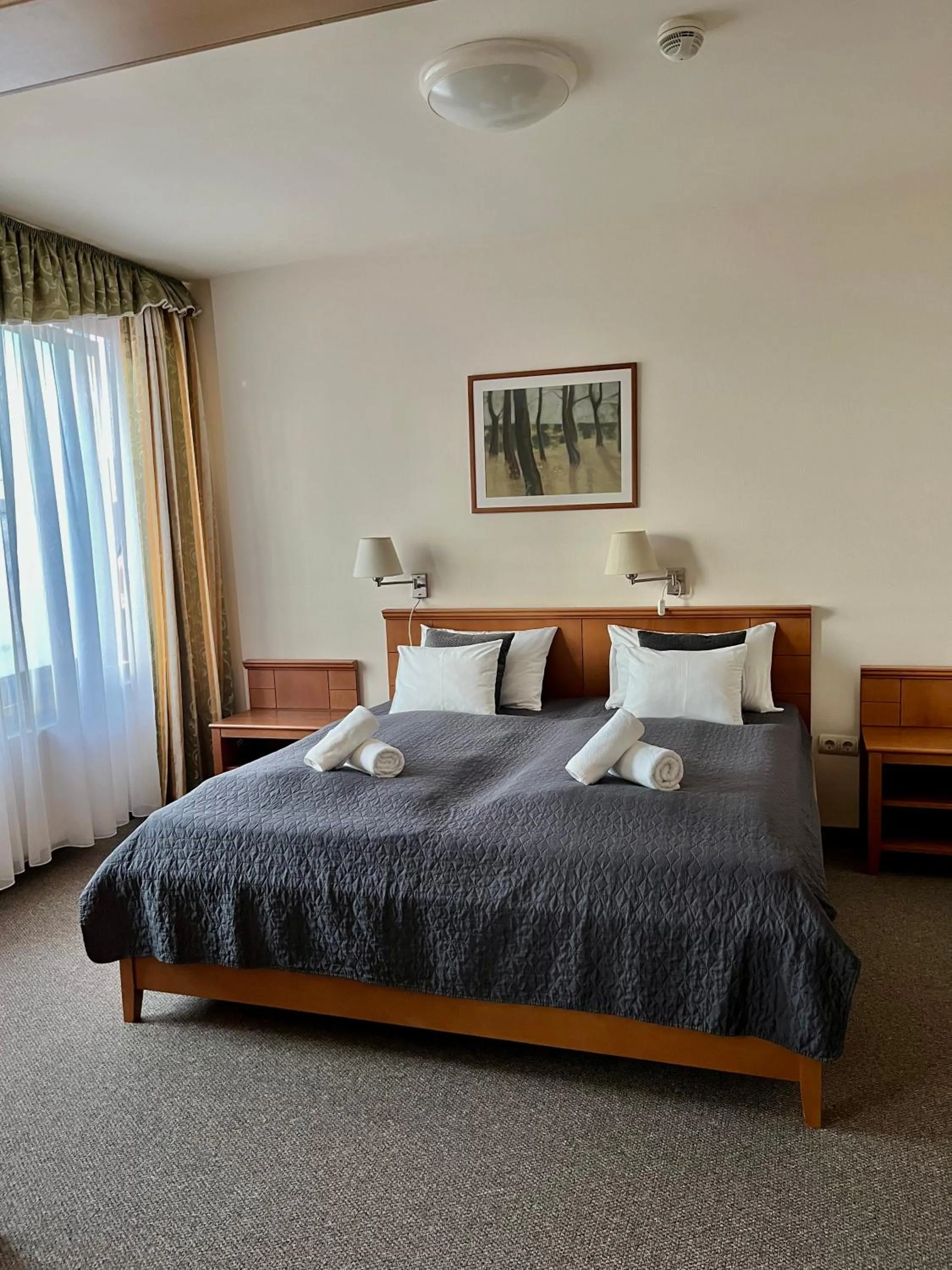One-Bedroom Suite - single occupancy in Hotel Estella Superior