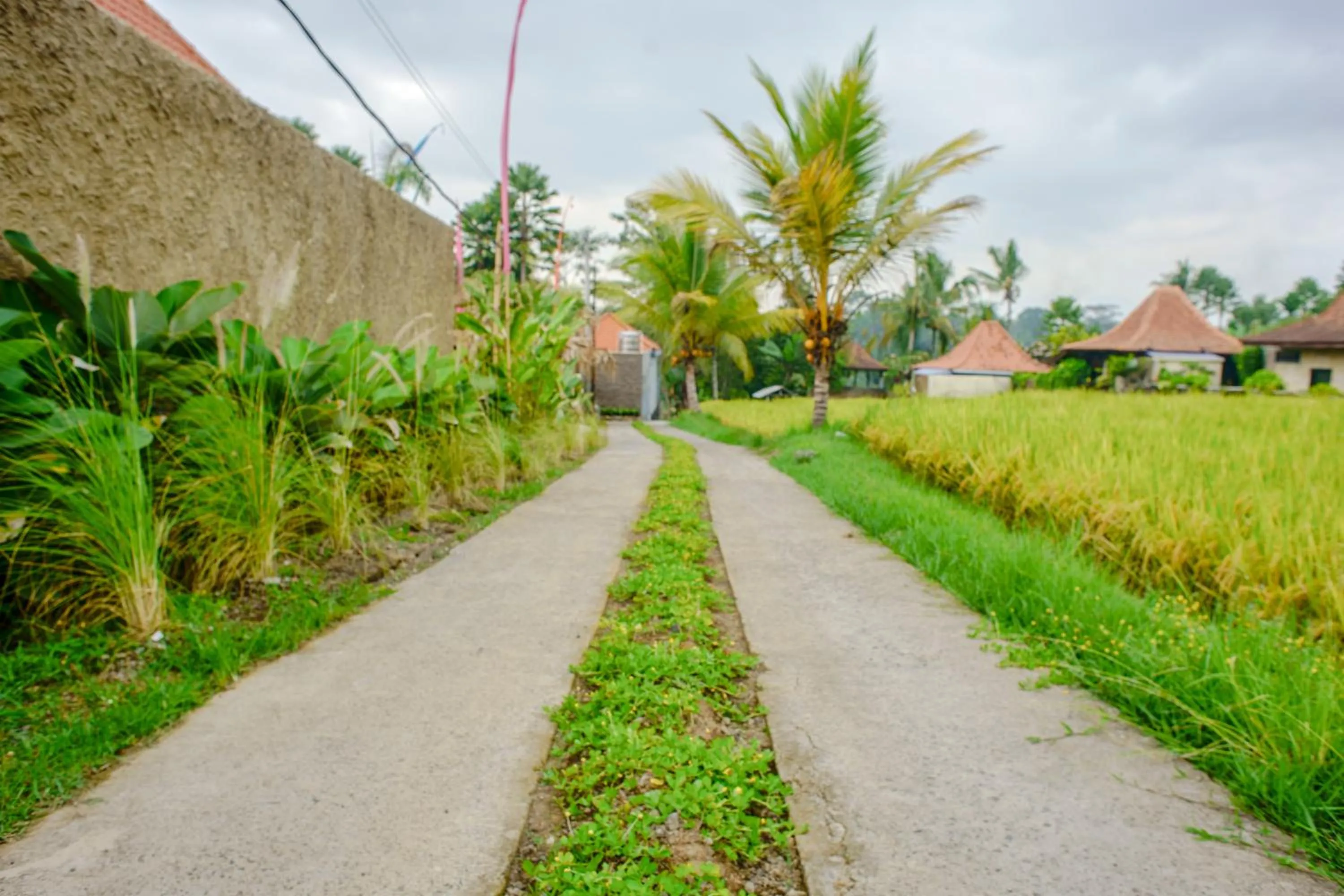 Lobby or reception in Umakelod Sebatu Villas
