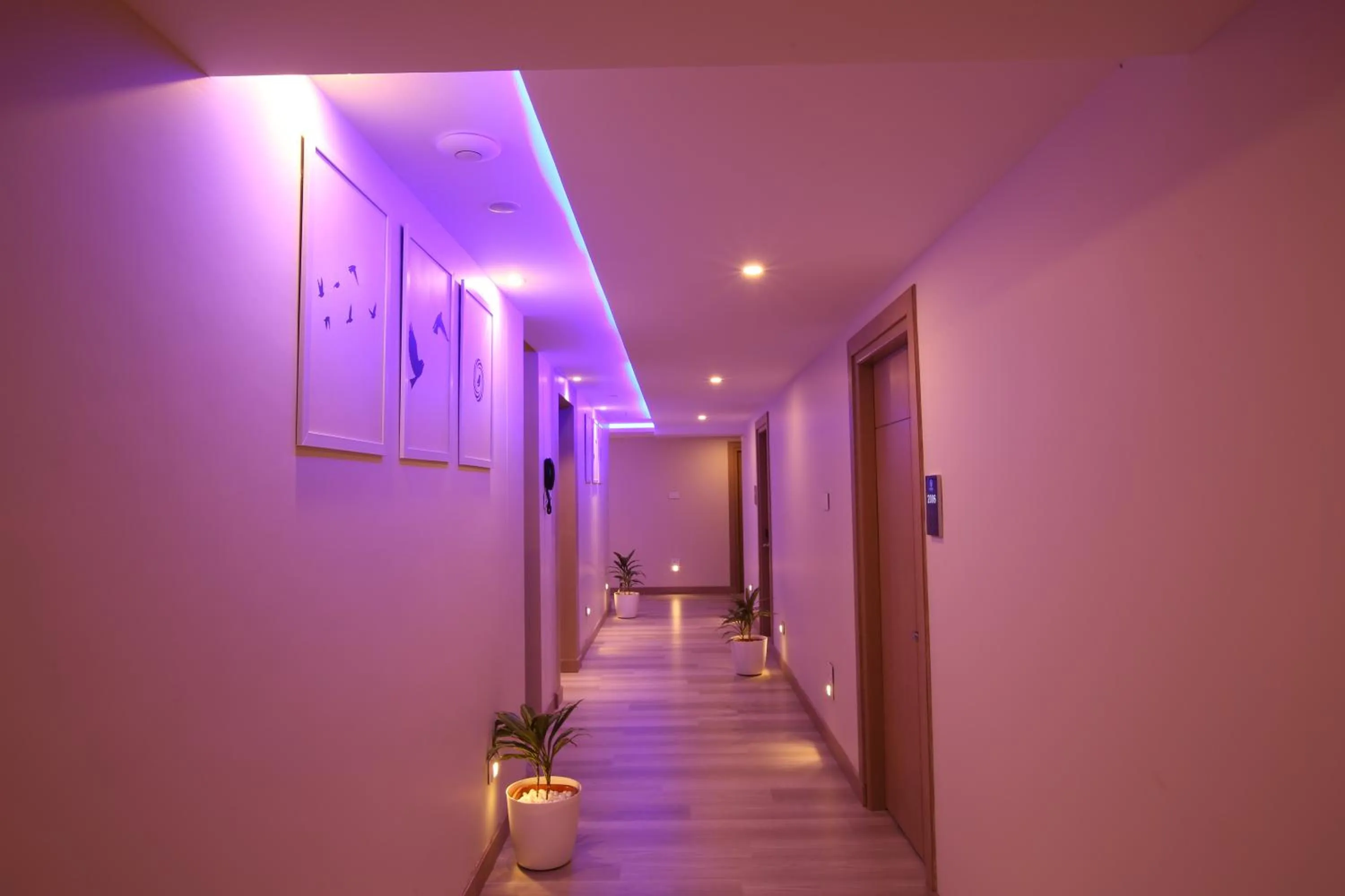 Property building in Mintotel Wayanad