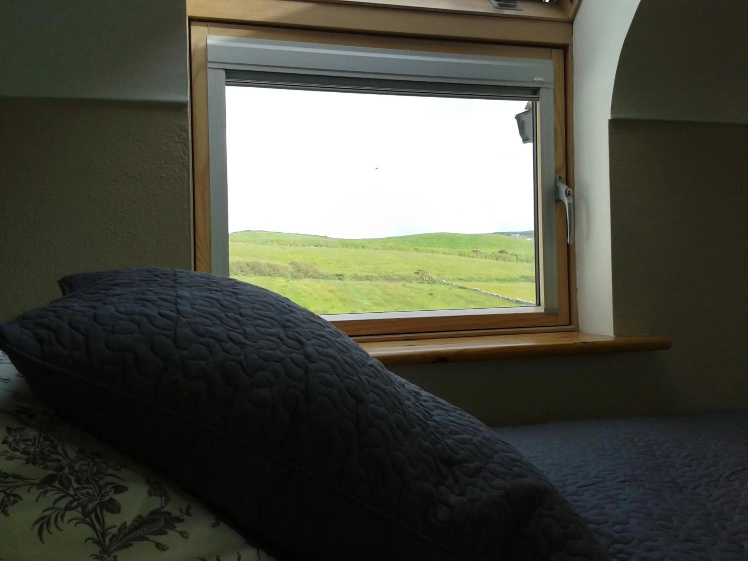 Day in Blackberry Lodge Accommodation