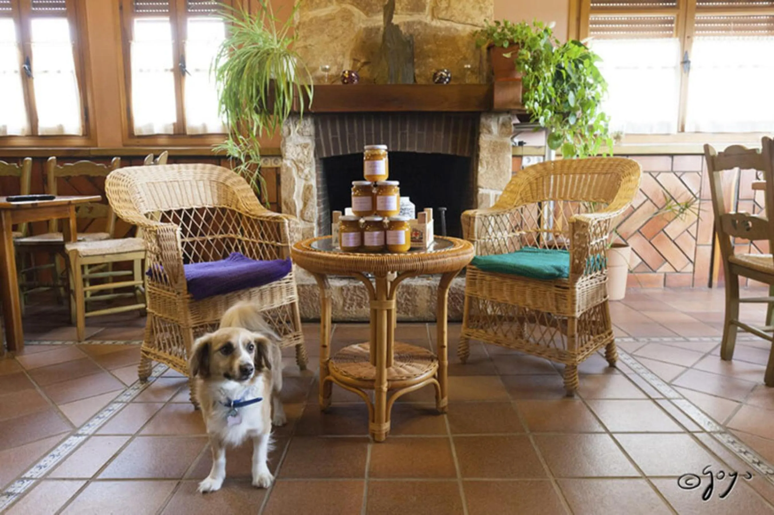 Living room in El Camino Real