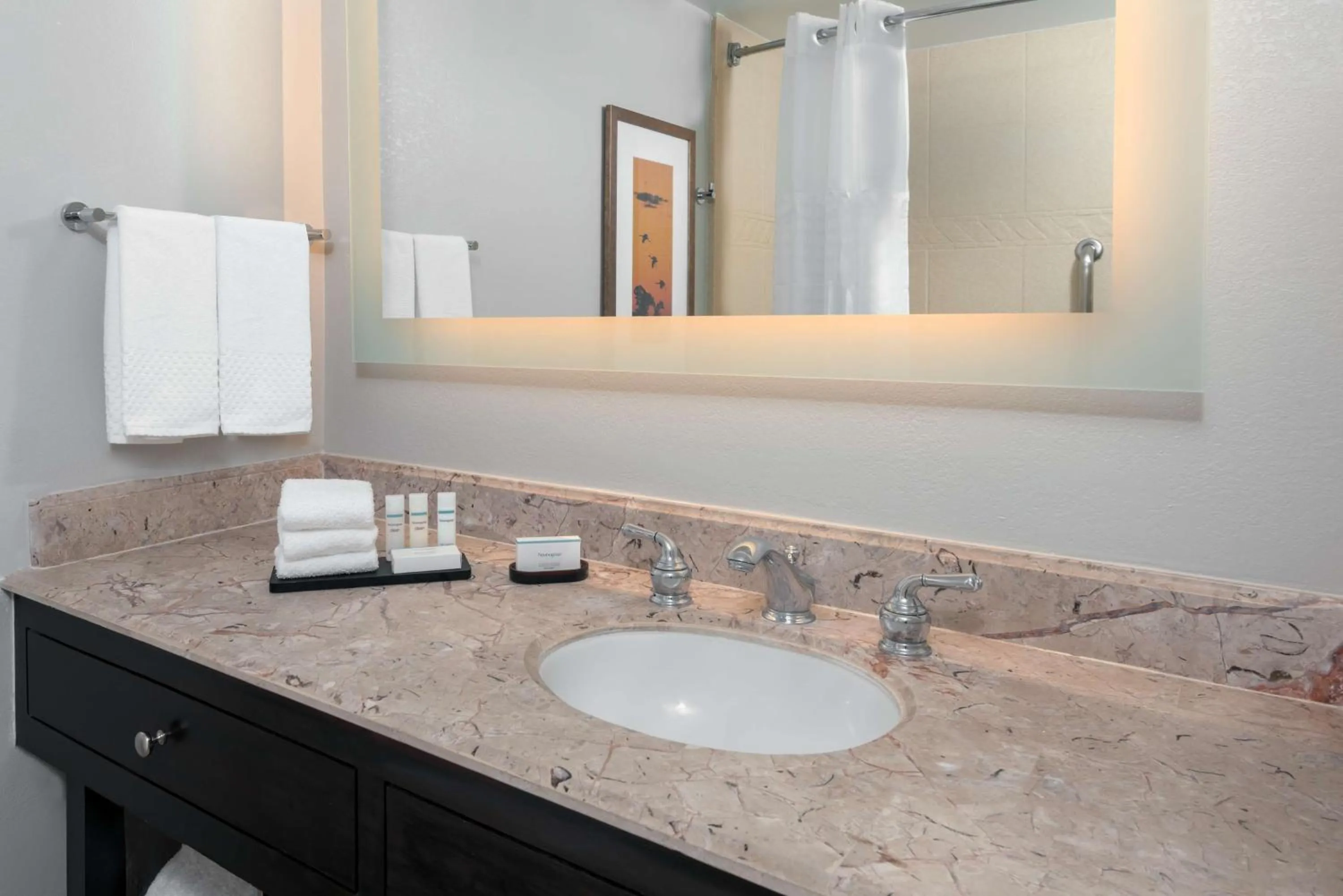 Bathroom in Embassy Suites Dallas - Park Central Area