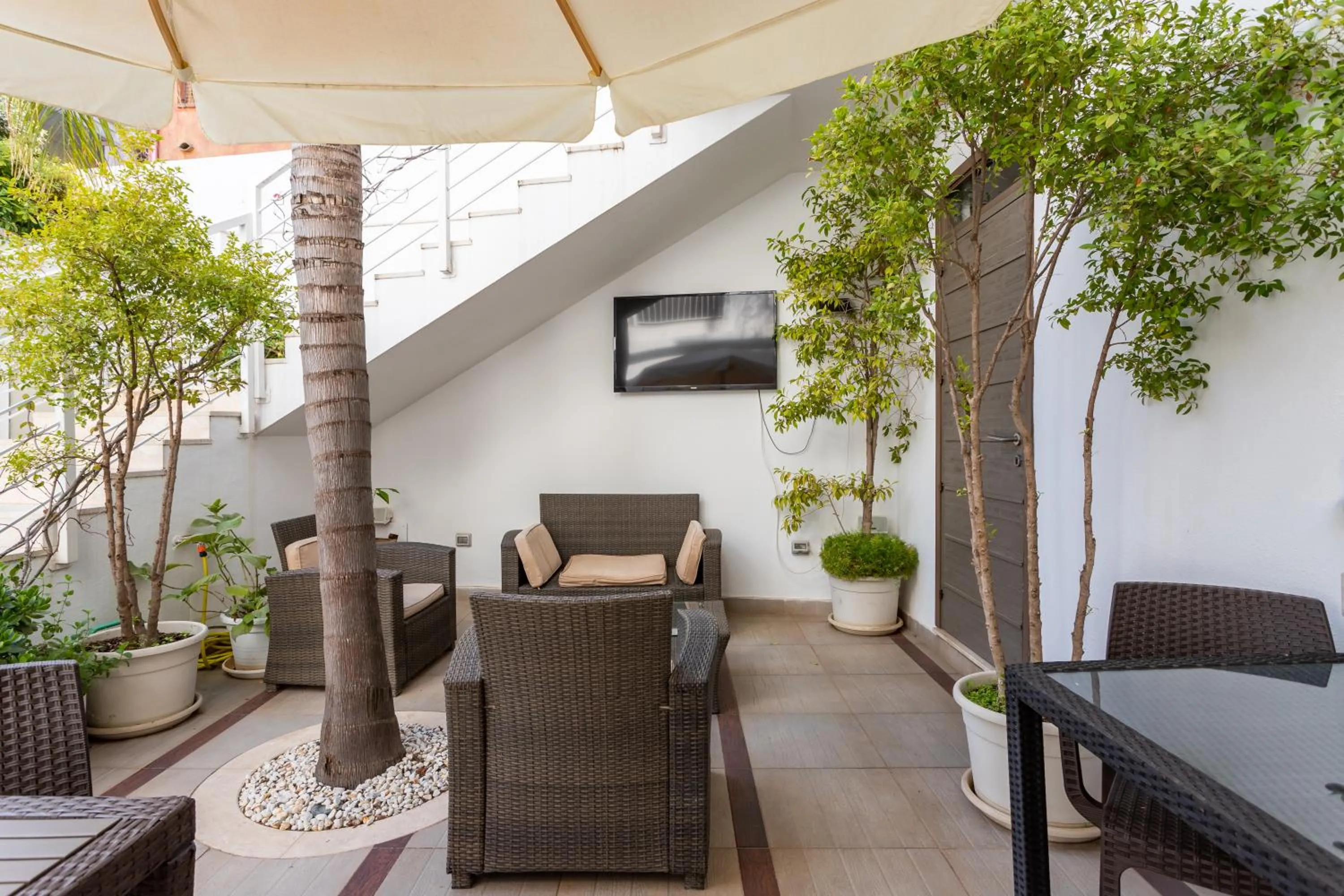 Area and facilities in Hotel Belvir