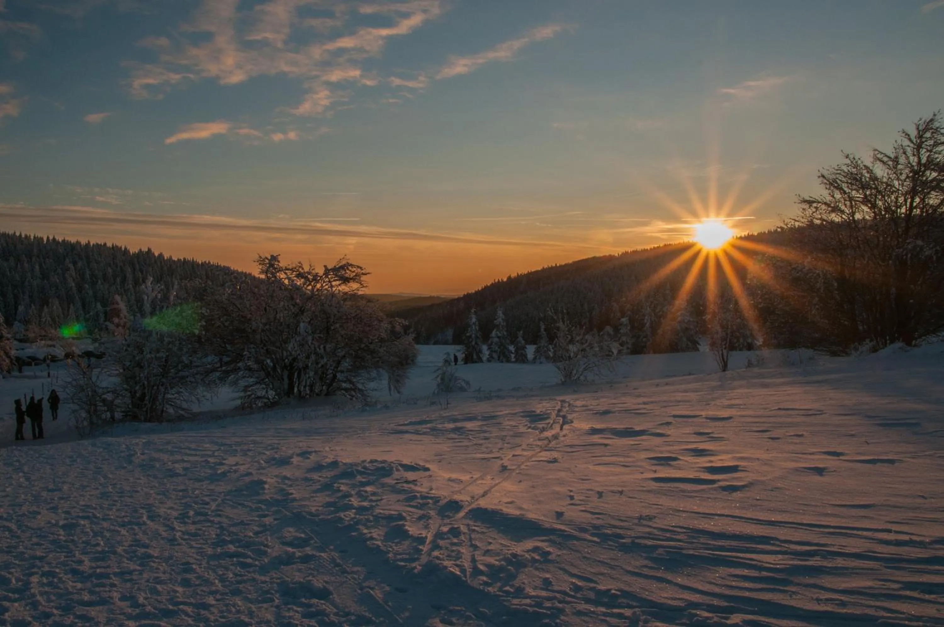 Natural landscape in Hotel Haus Oberland