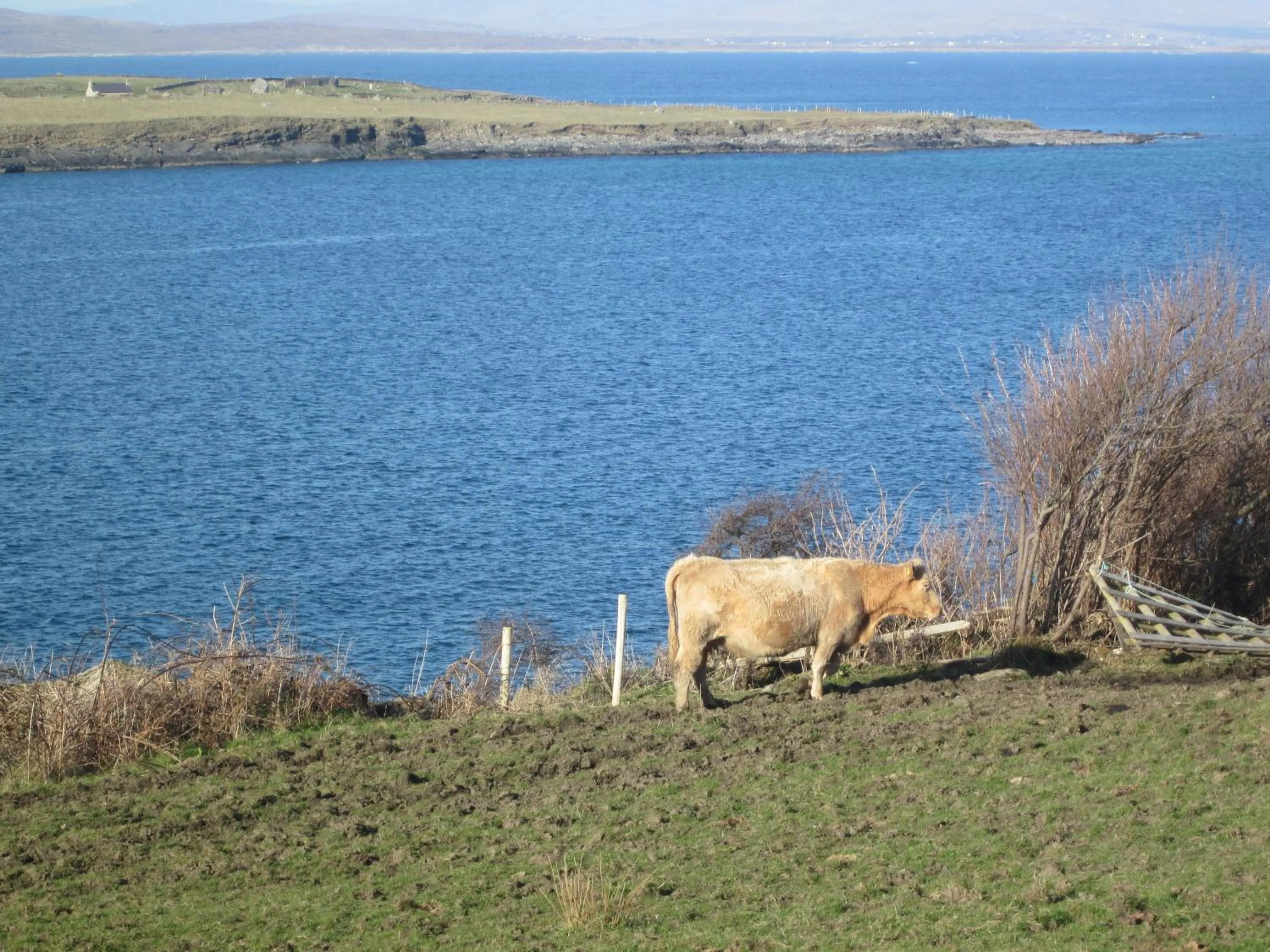 Natural landscape in Marguerite's B&B
