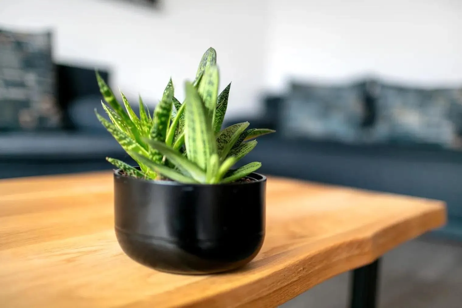 Dining area in Apartments Schöneberg