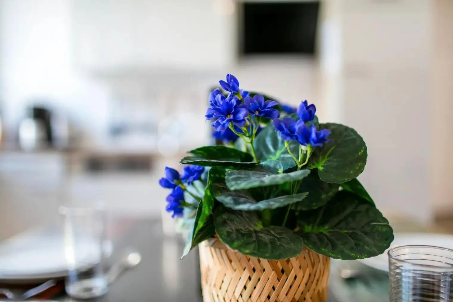 Kitchen or kitchenette in Apartments Schöneberg