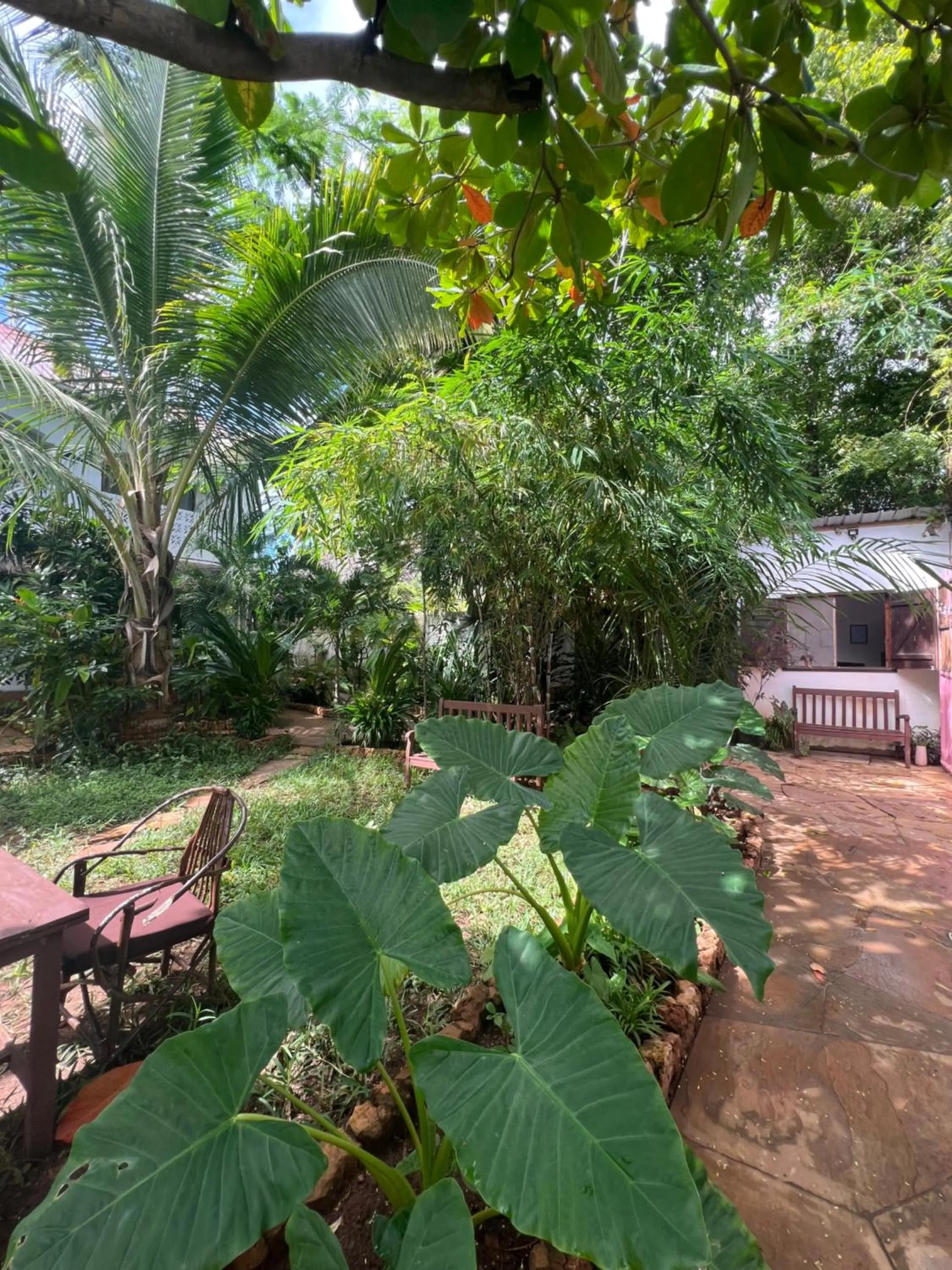 Garden in Siri Beach Lodge