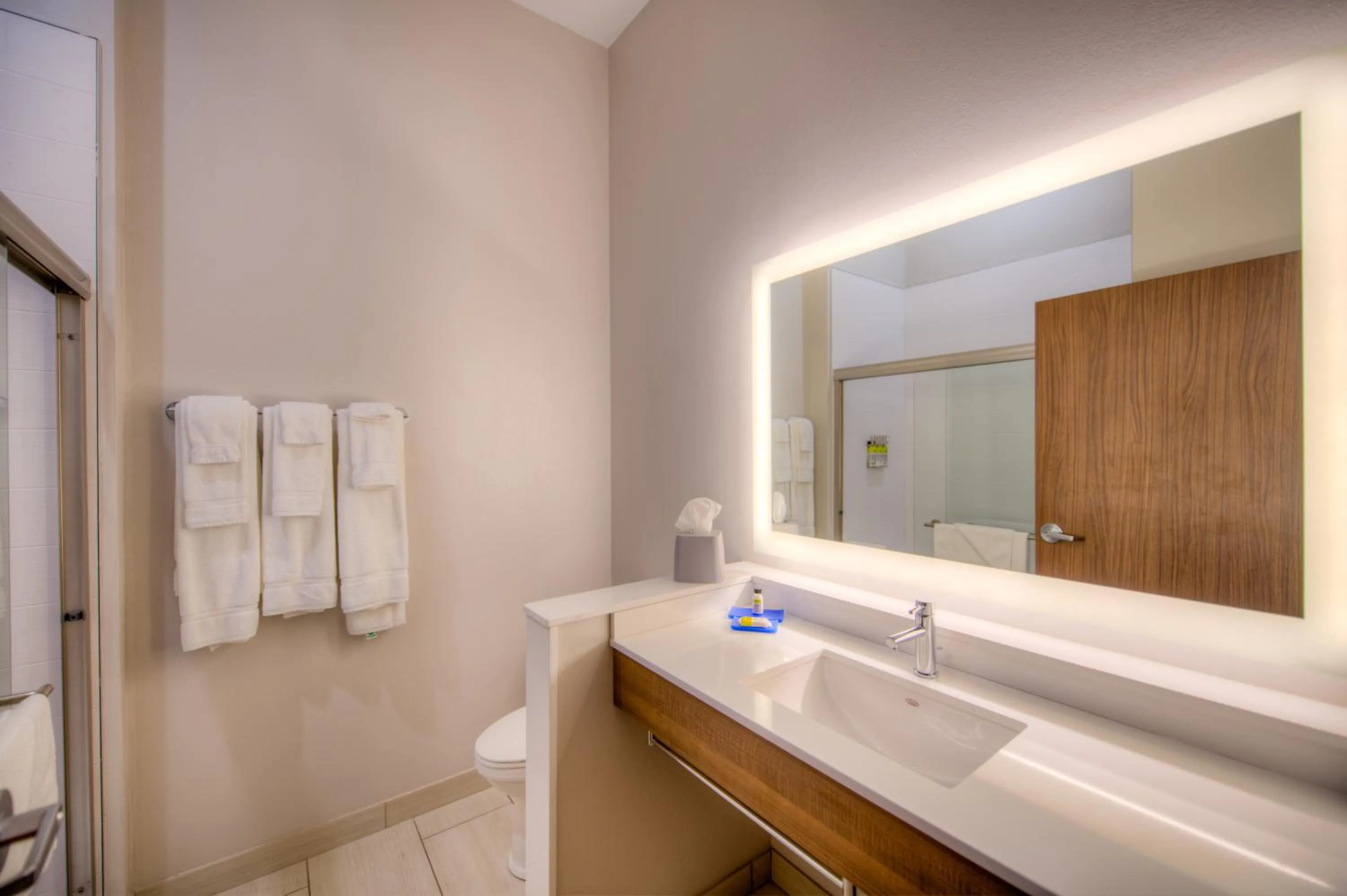 Bathroom in Holiday Inn Express & Suites - Remington by IHG