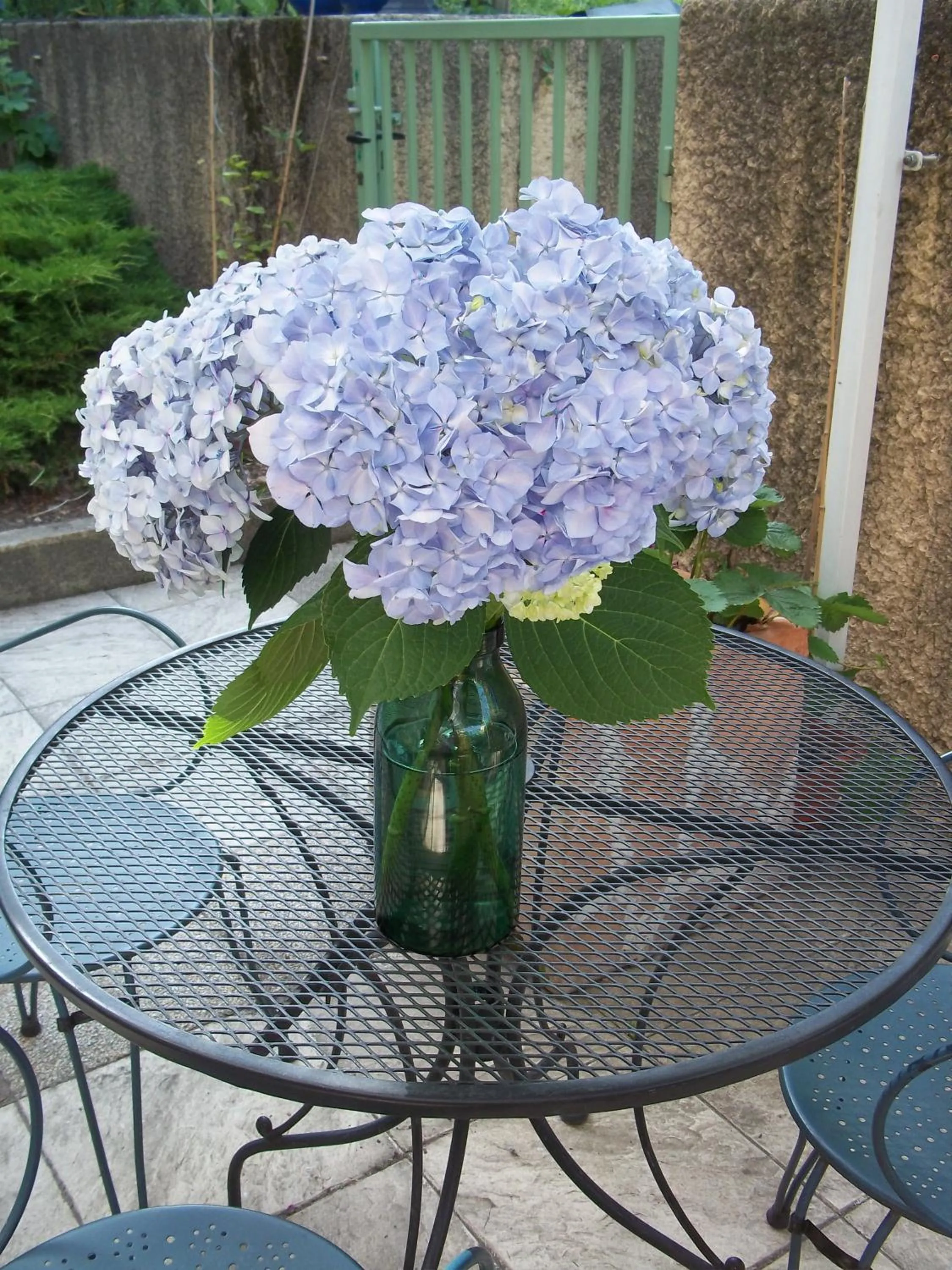 Balcony/Terrace in La Renardière