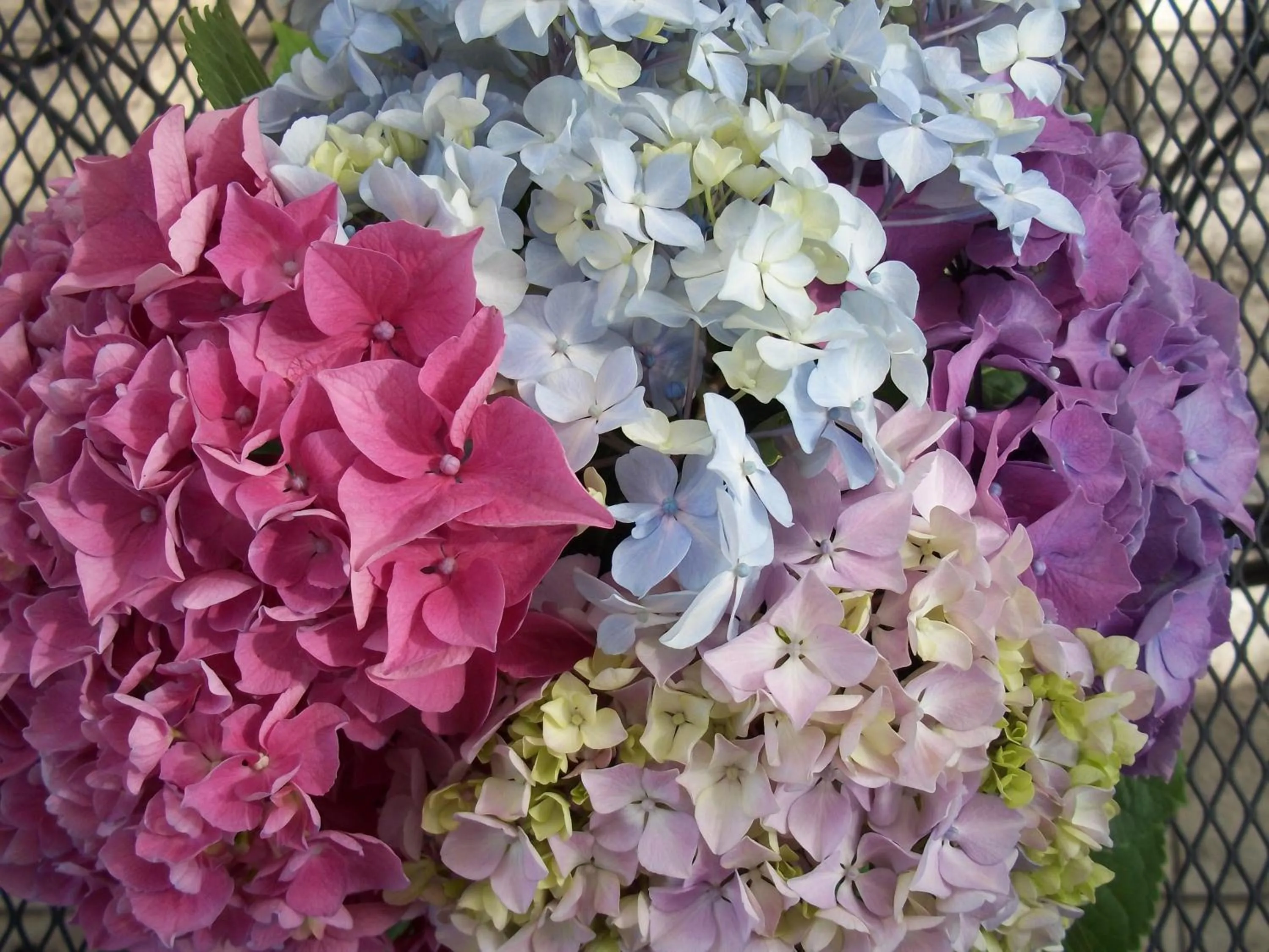 Decorative detail in La Renardière