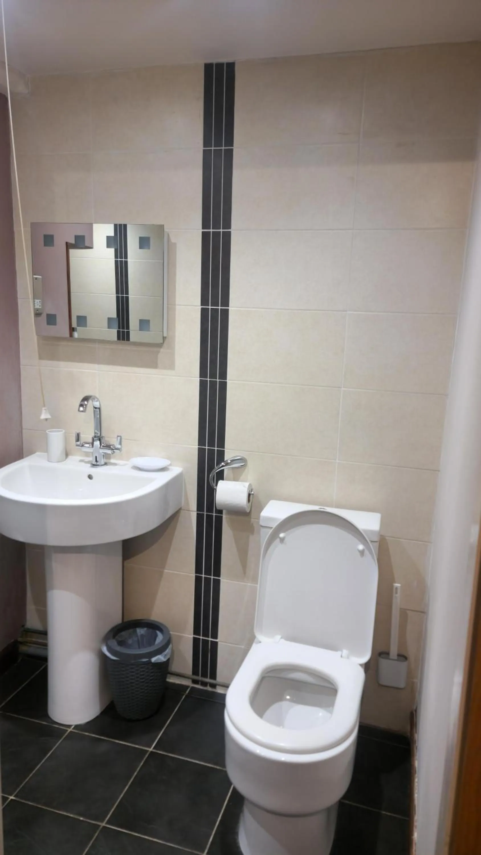 Toilet in The Punch Bowl Inn