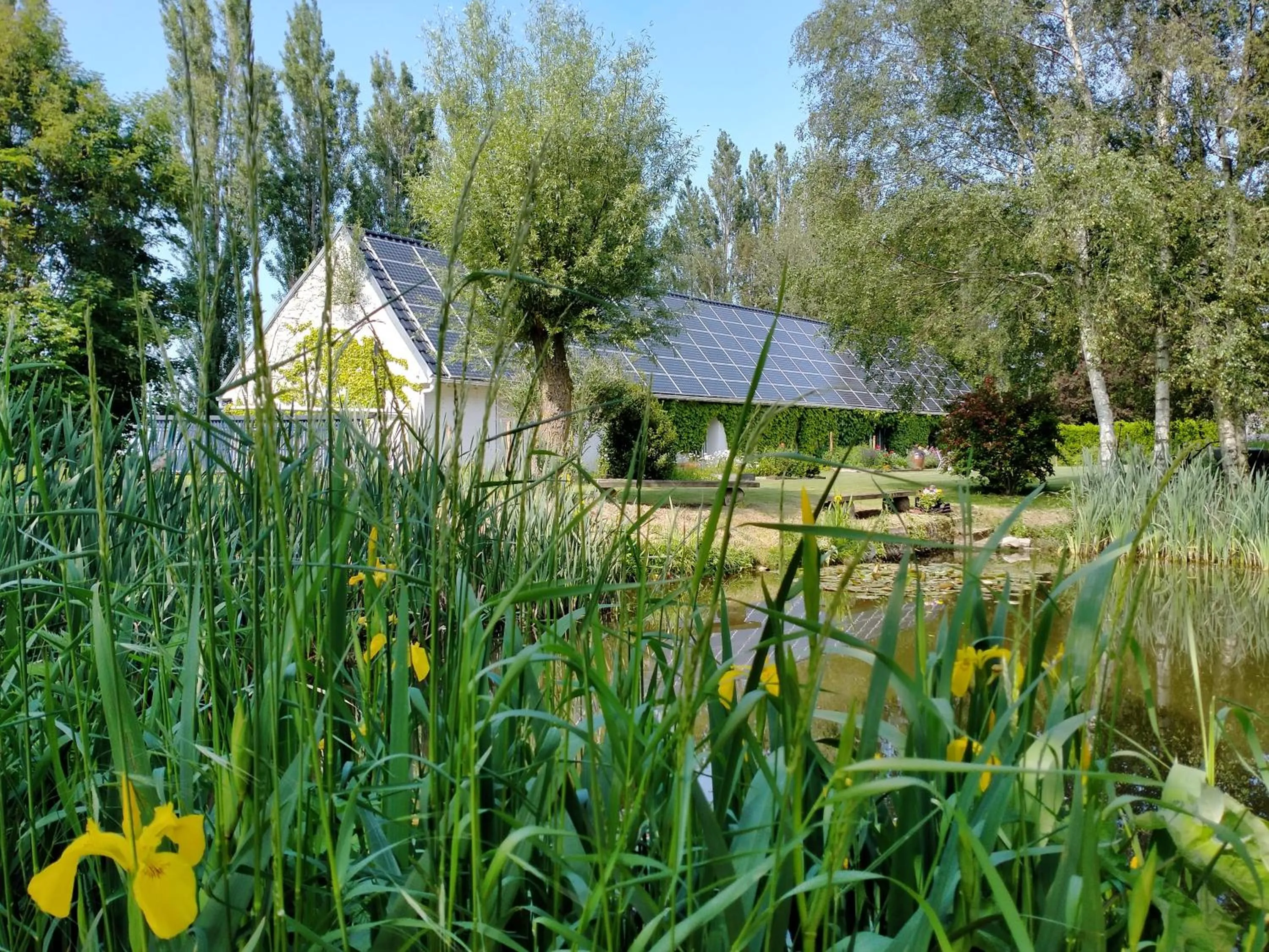 Garden view in La Flandre entre plaine, mer et marais
