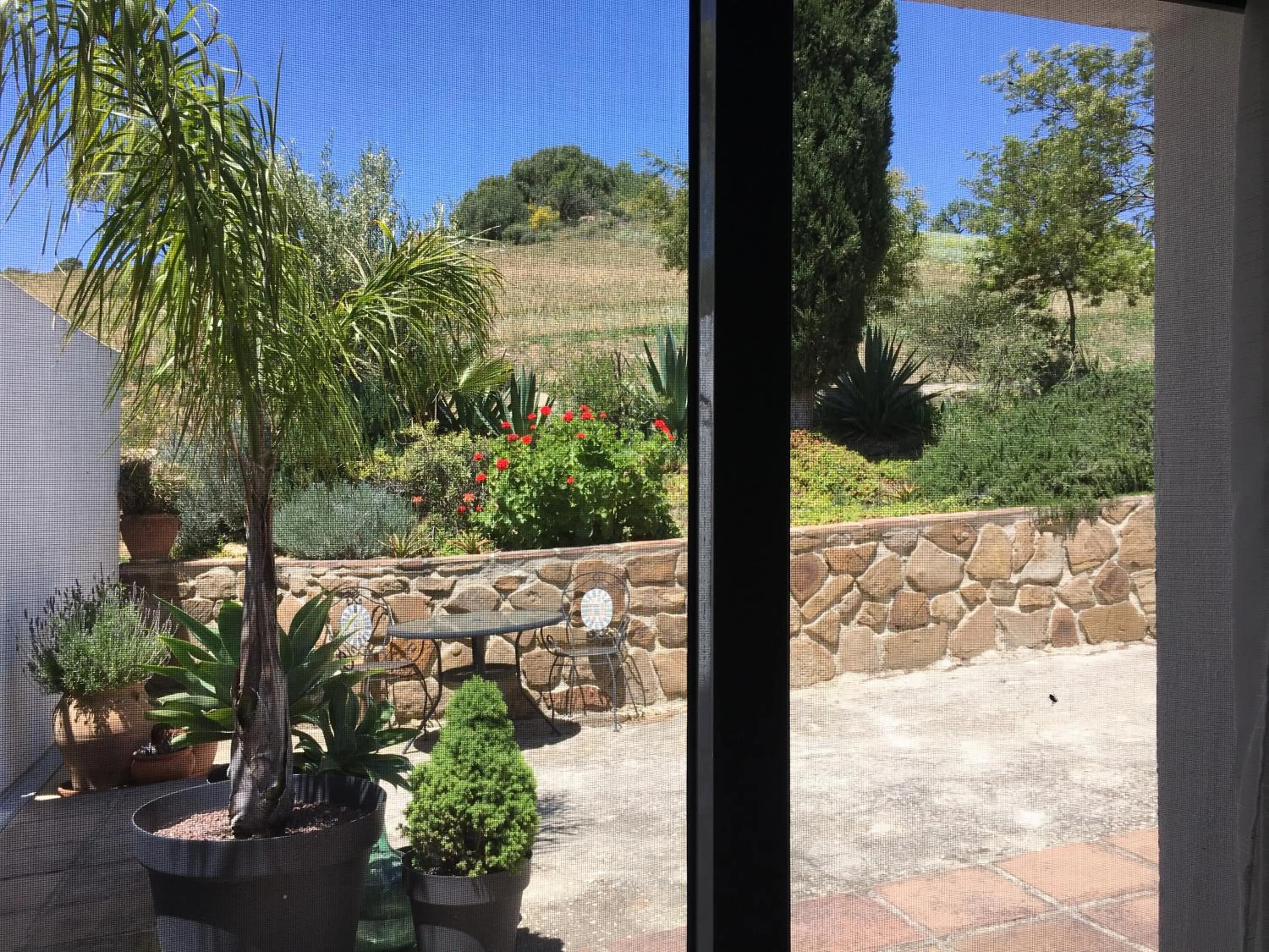 Garden view in Finca Las Campanas II