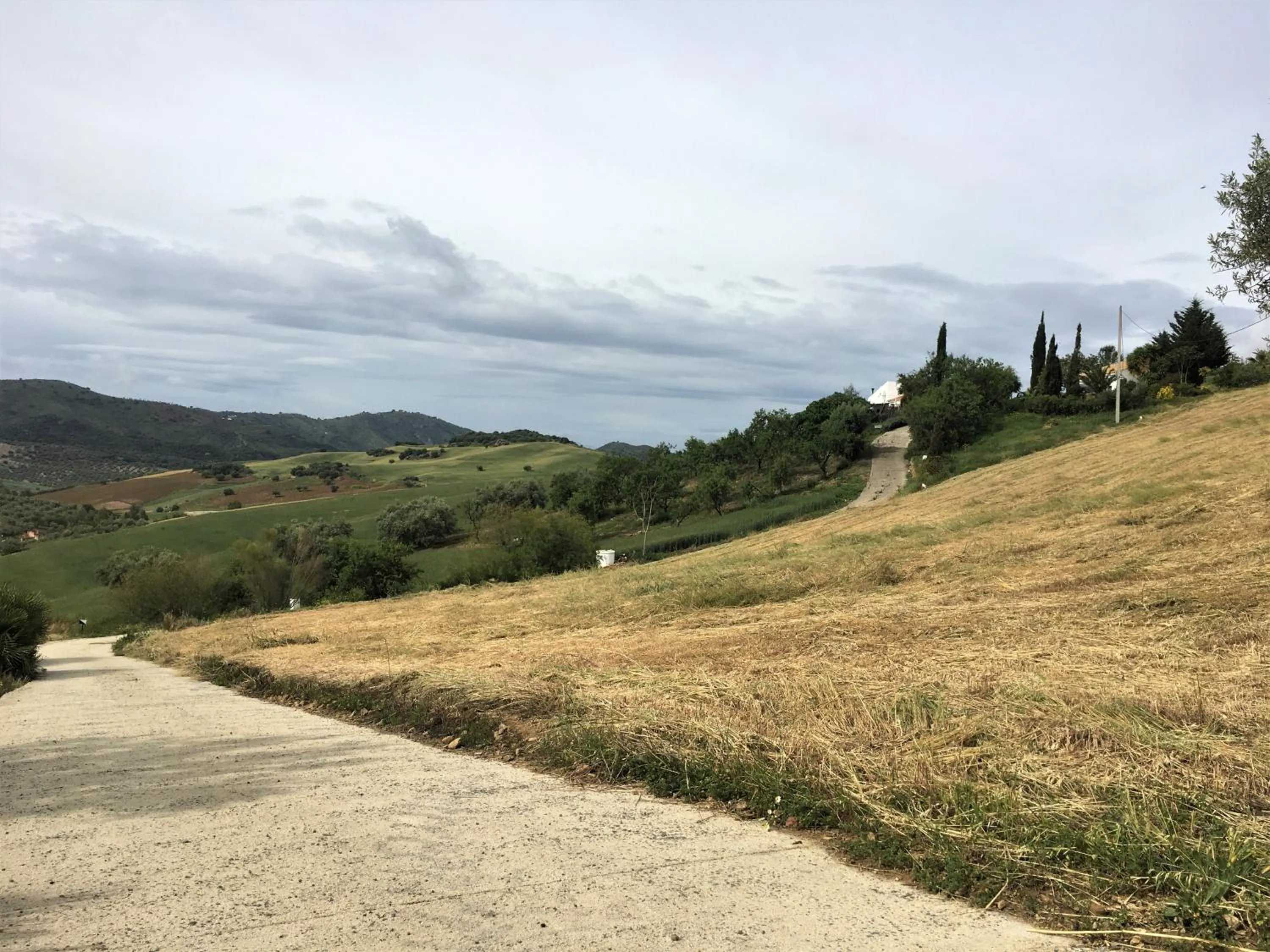 Neighbourhood in Finca Las Campanas II