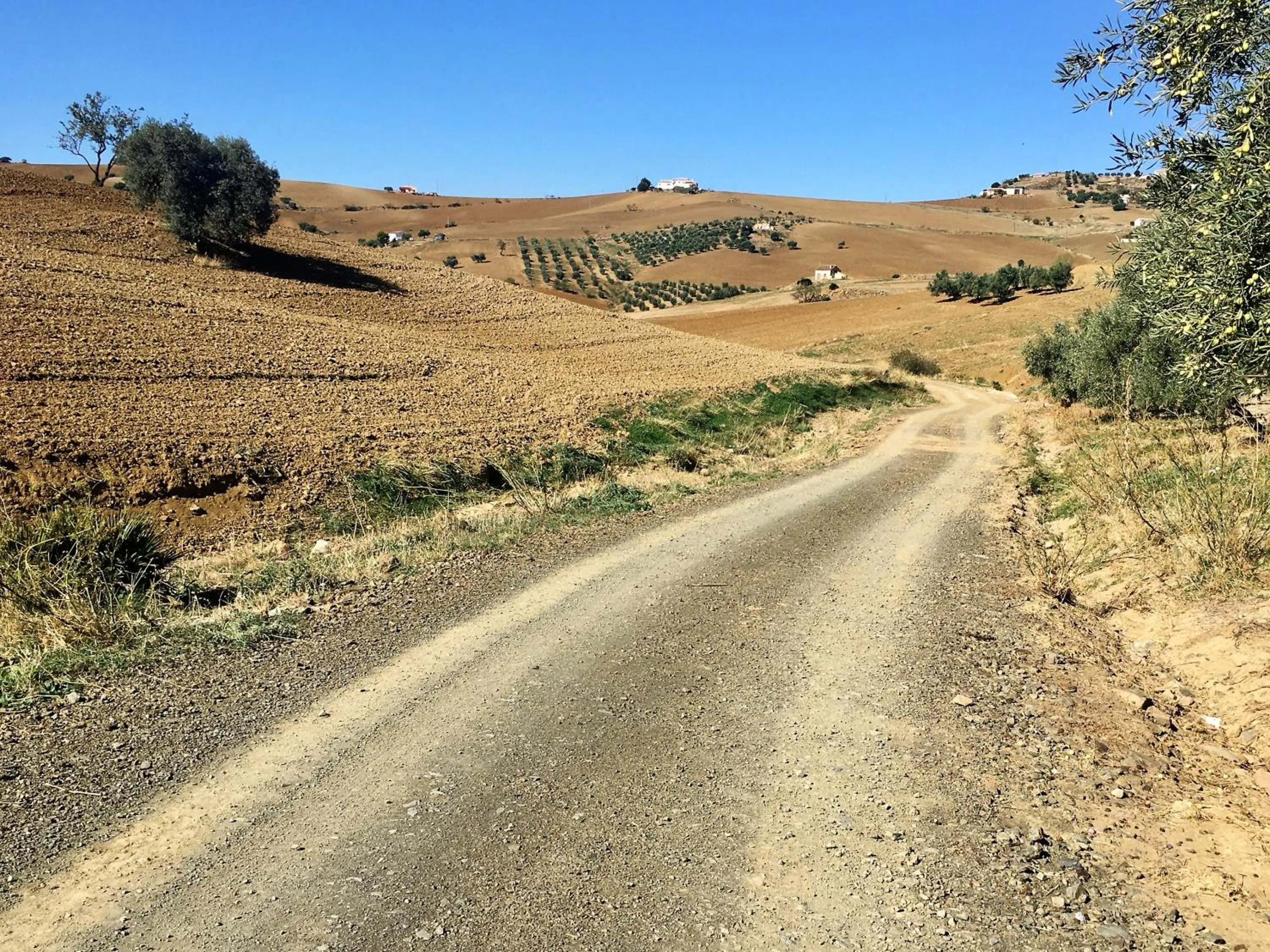 Natural landscape in Finca Las Campanas II