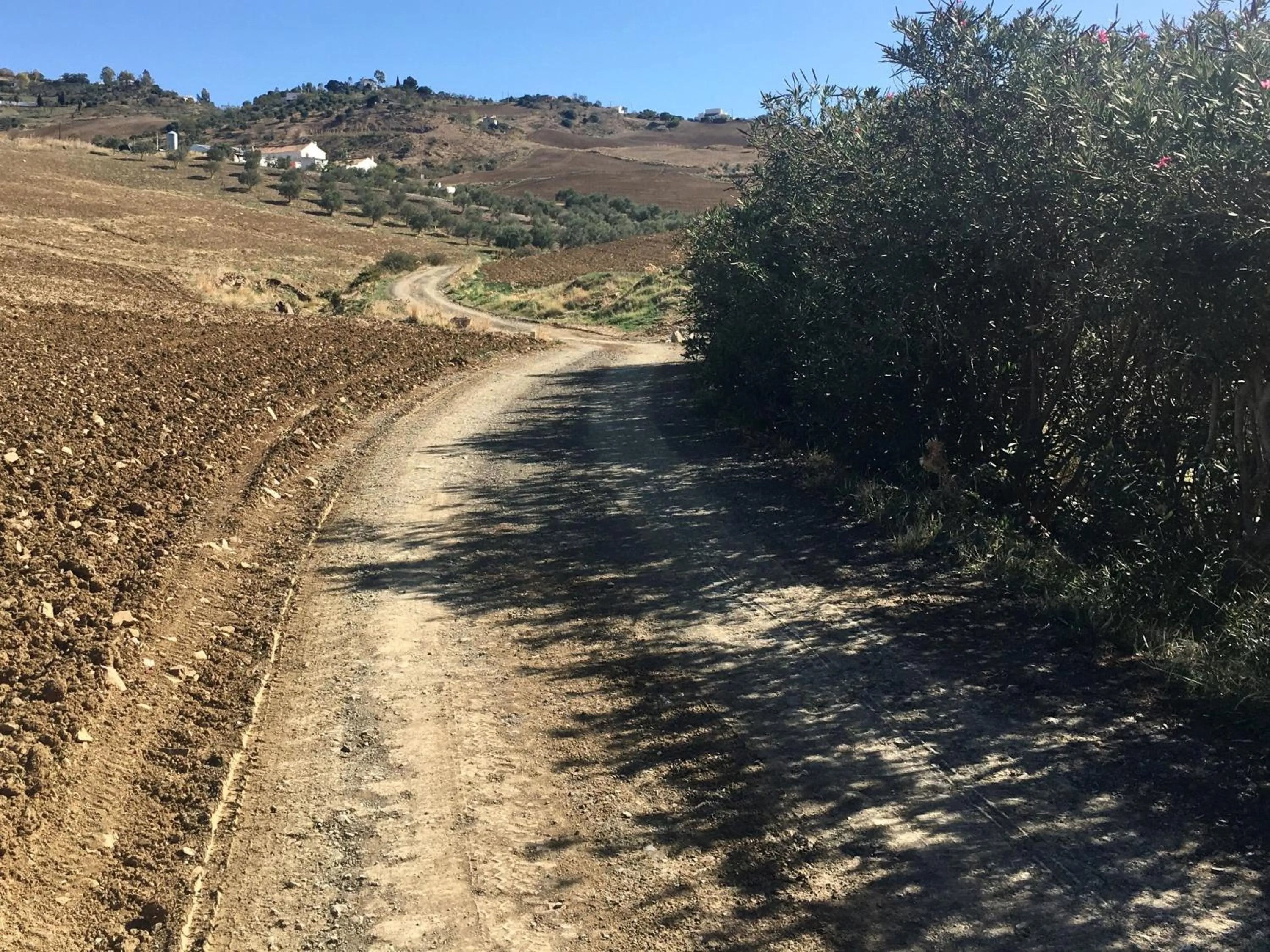 Quiet street view in Finca Las Campanas II