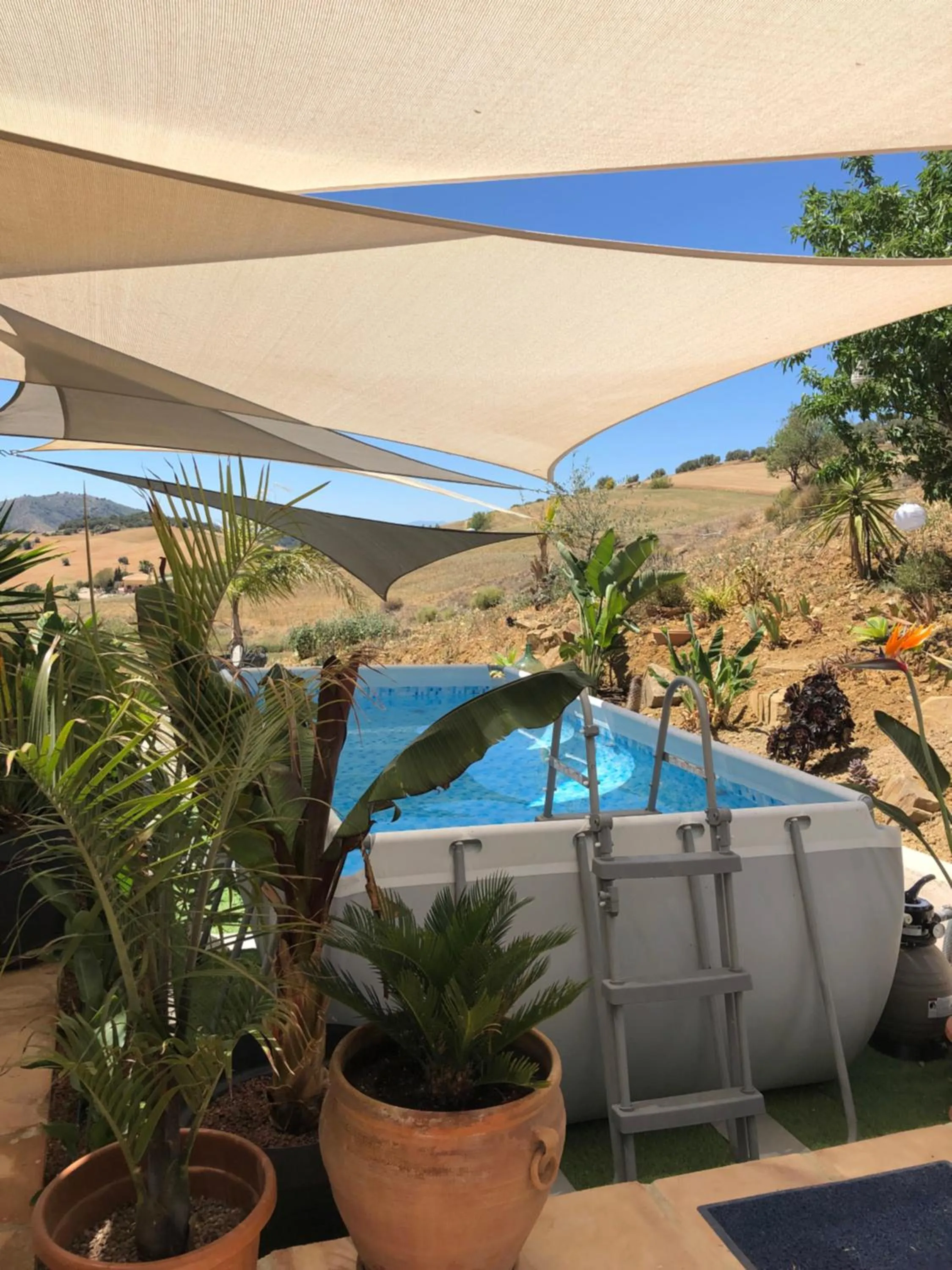 Finca Las Campanas II