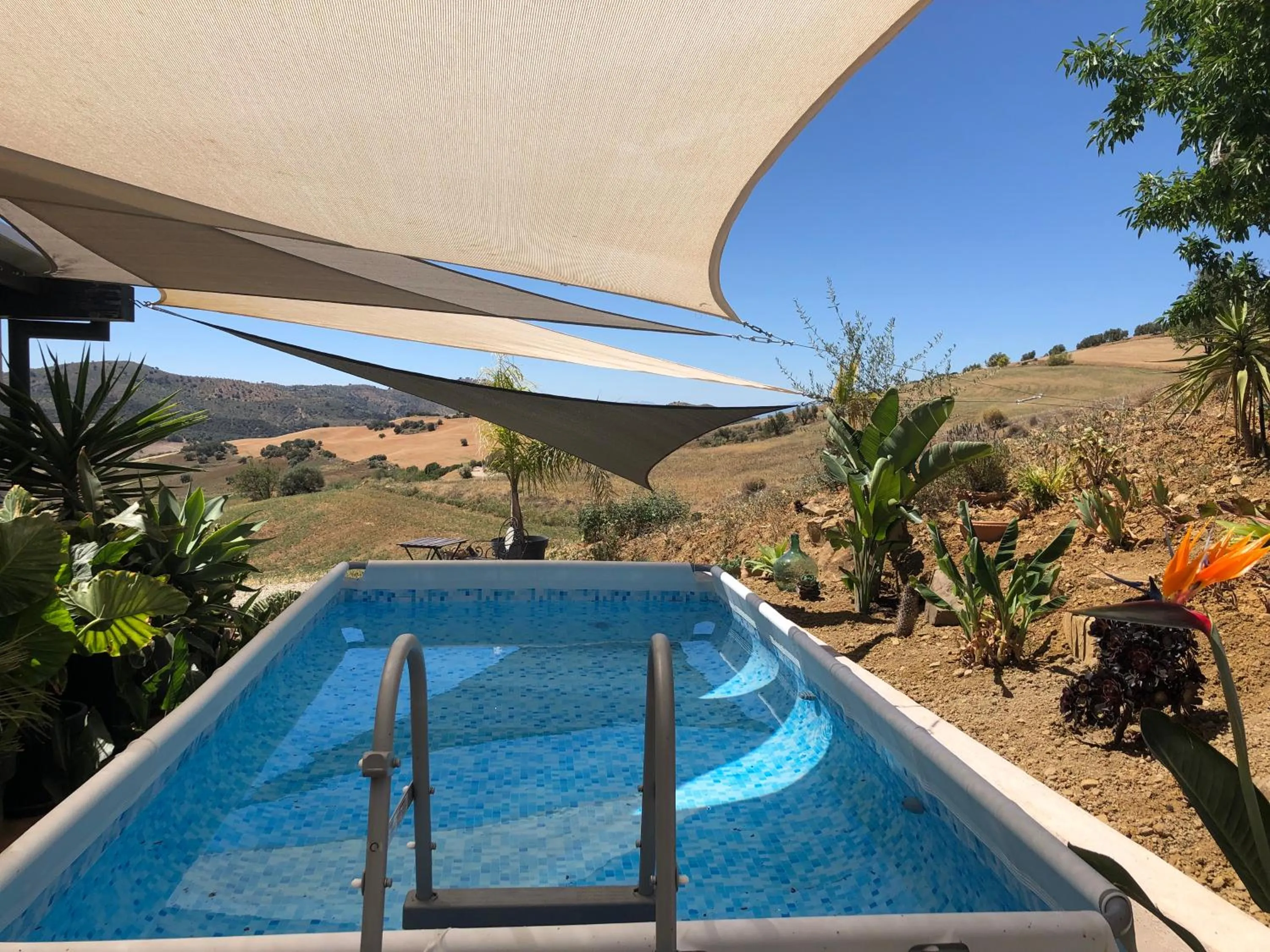 Finca Las Campanas II