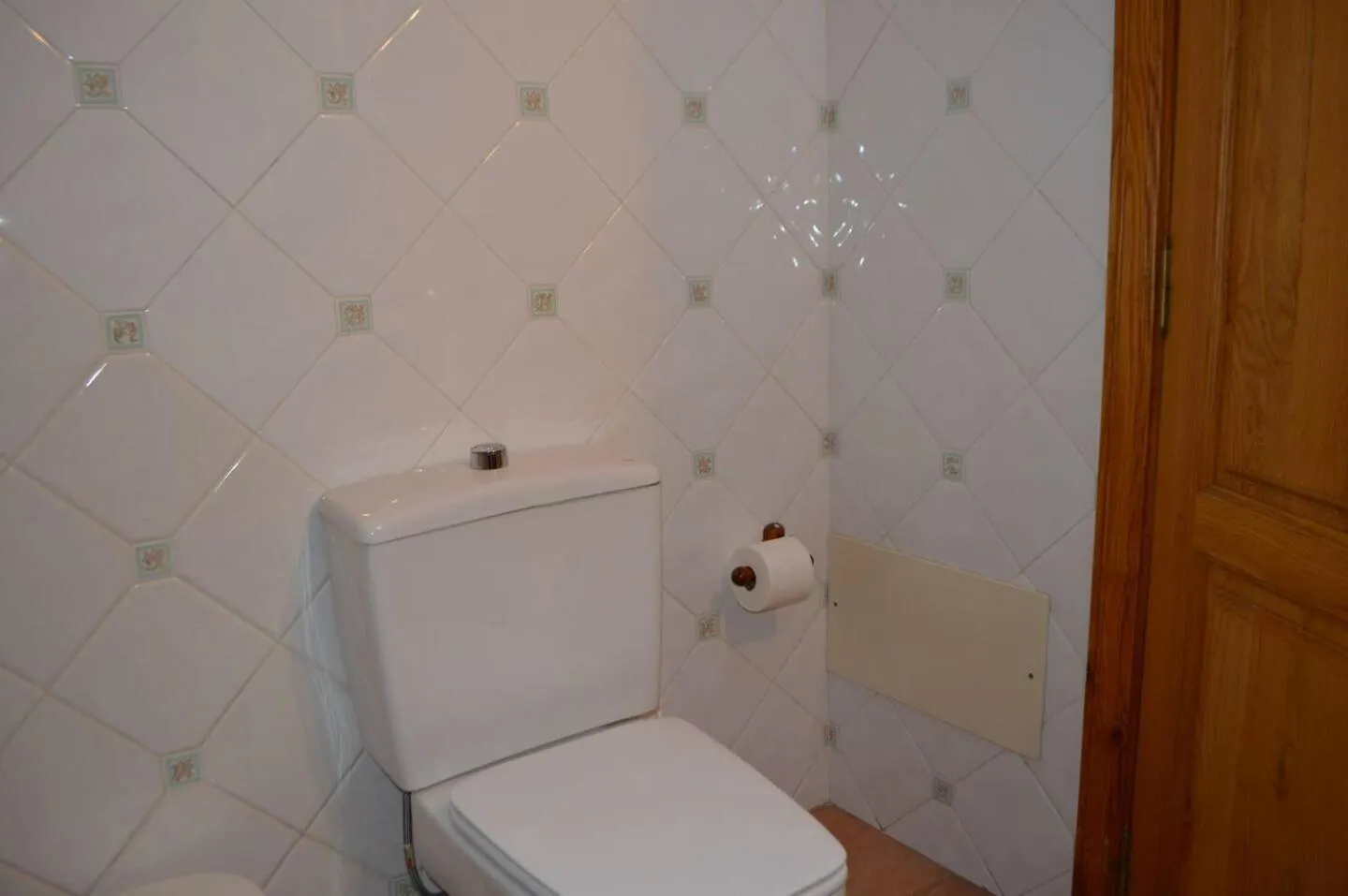 Ziggy's Mountain Retreat