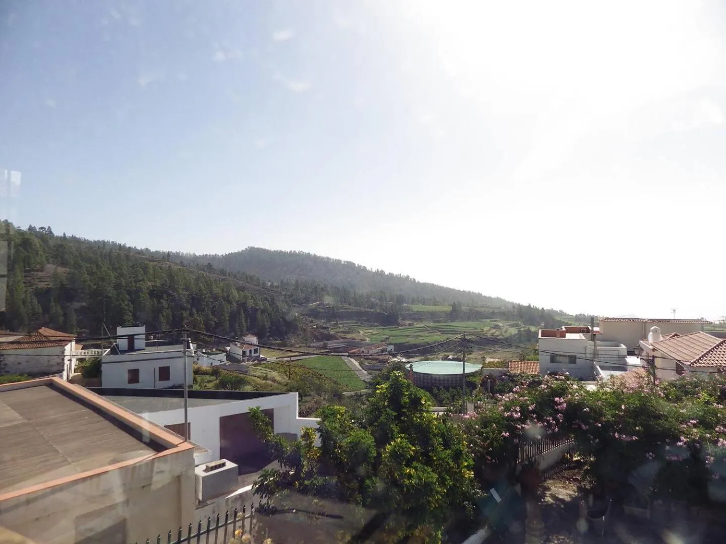 Ziggy's Mountain Retreat