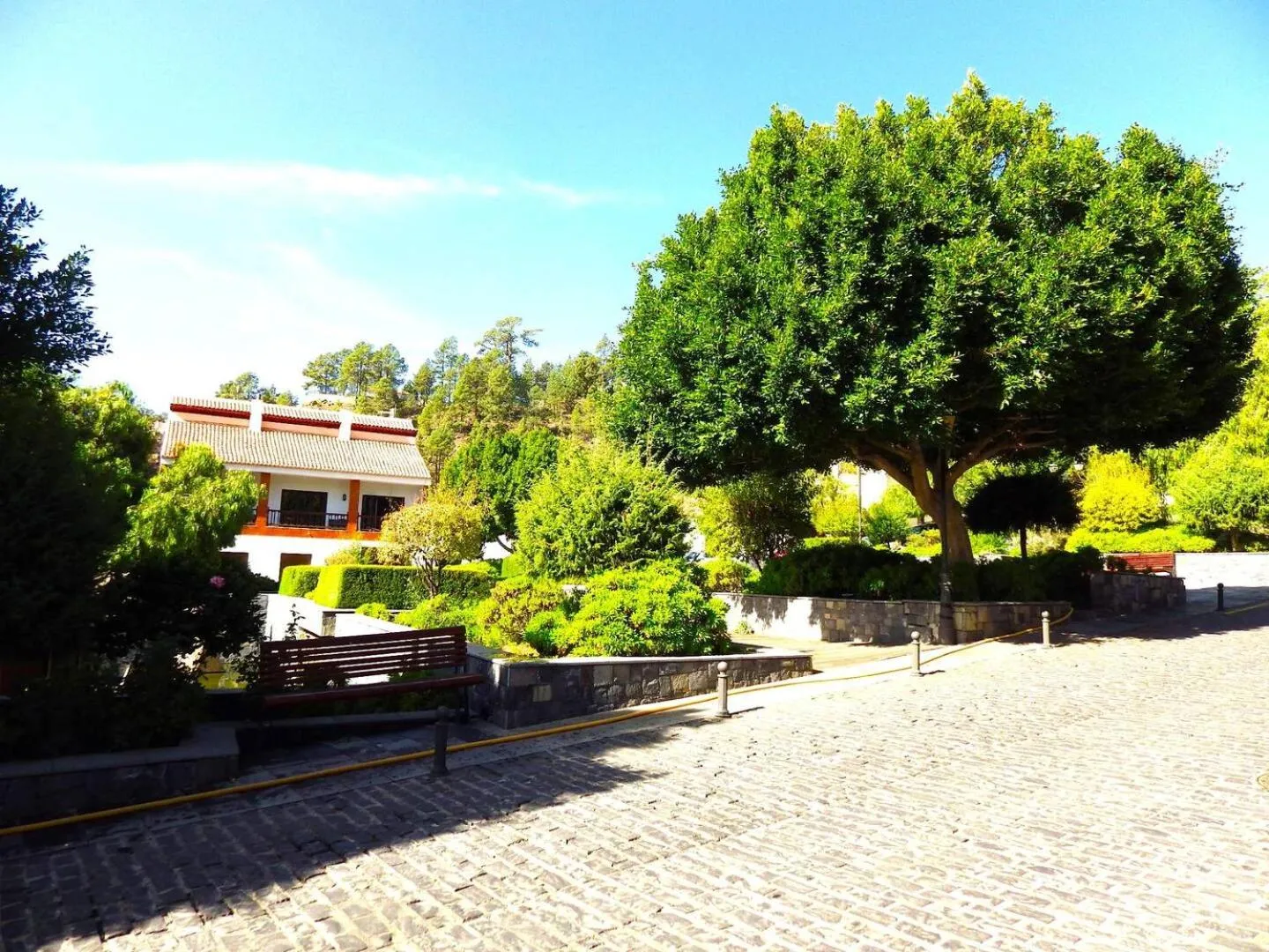 Ziggy's Mountain Retreat